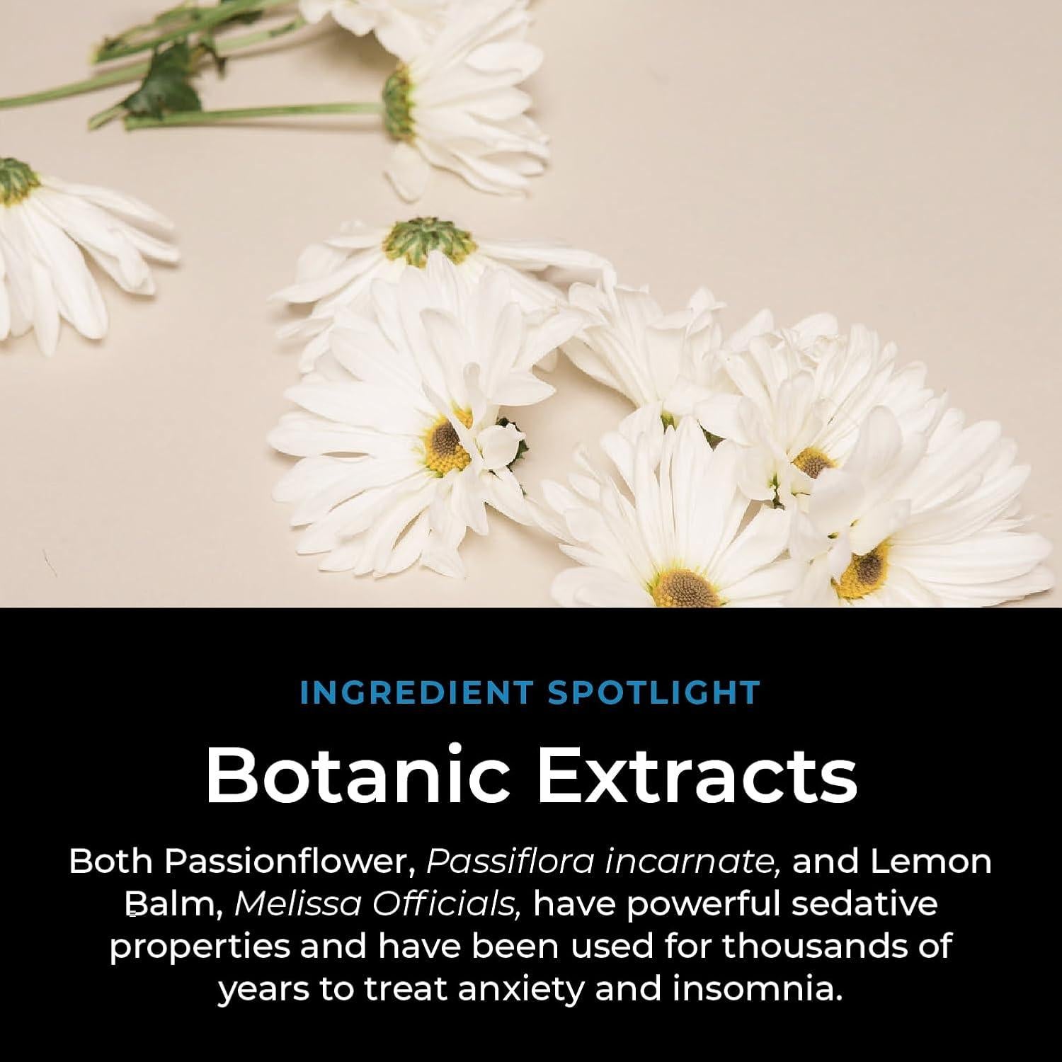 CogniTea Té de Sueño Profundo con Melatonina y Hierbas 30g