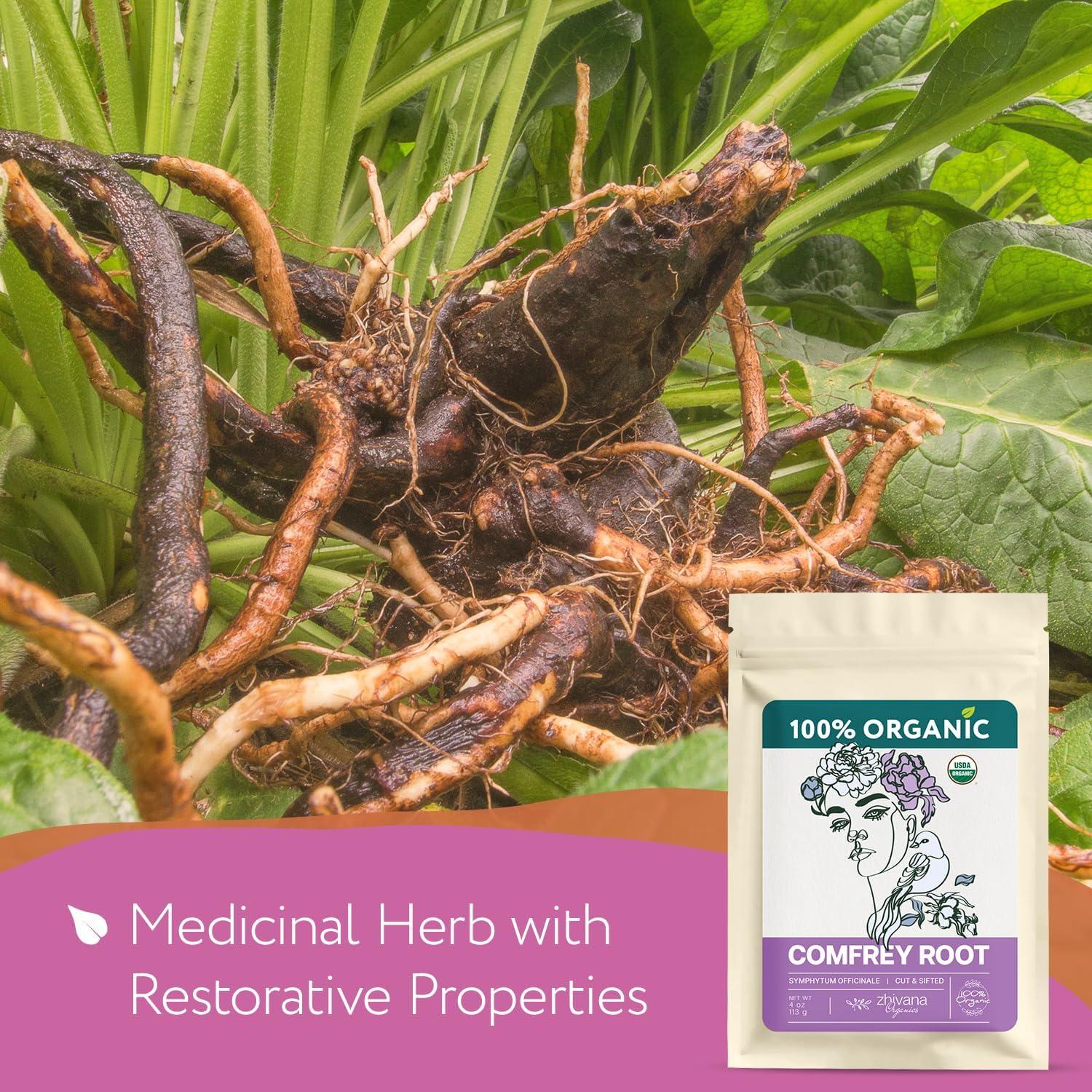 Raíz de Consuelda Orgánica 113.4 g - Hierba Curativa para Piel y Huesos