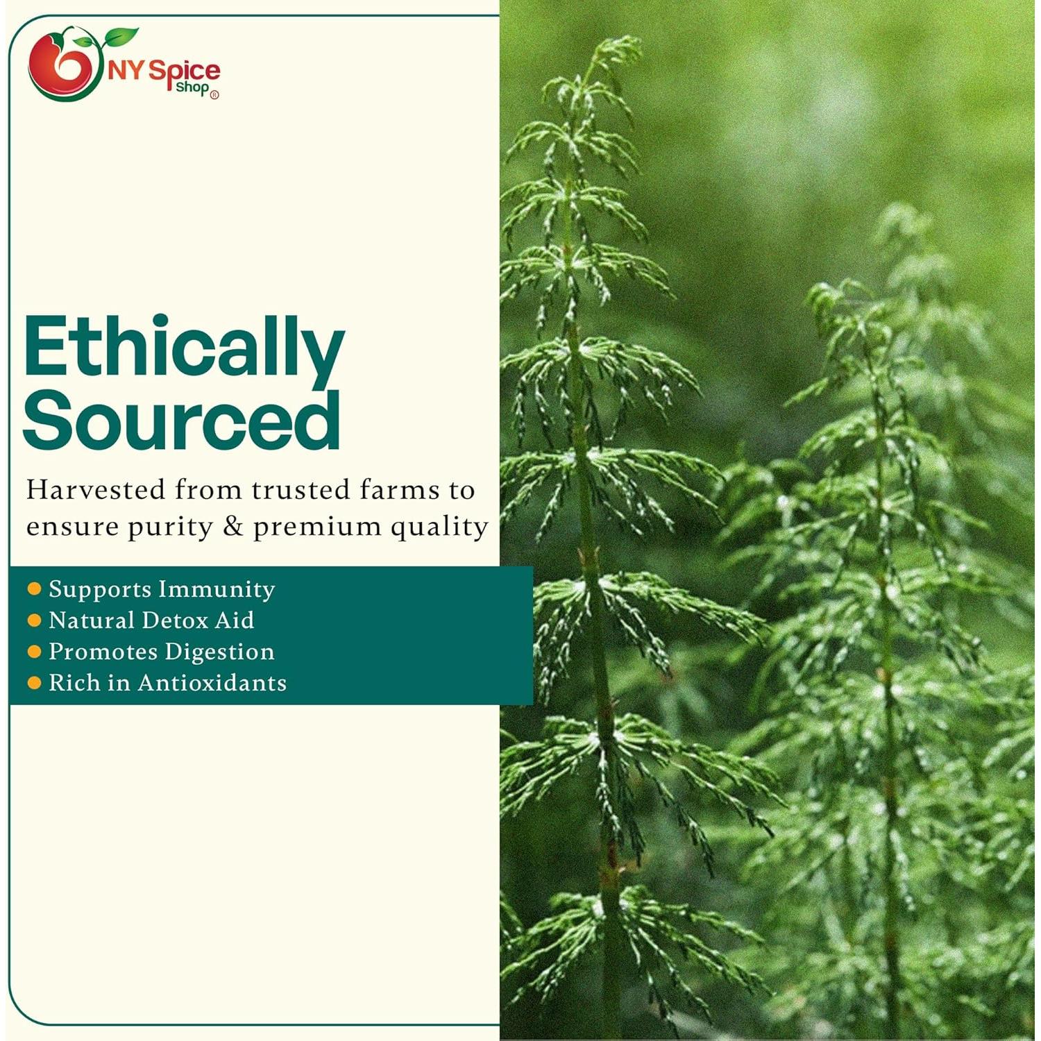 Té de Cola de Caballo Hoja Suelta 227g Tienda de Especias NY