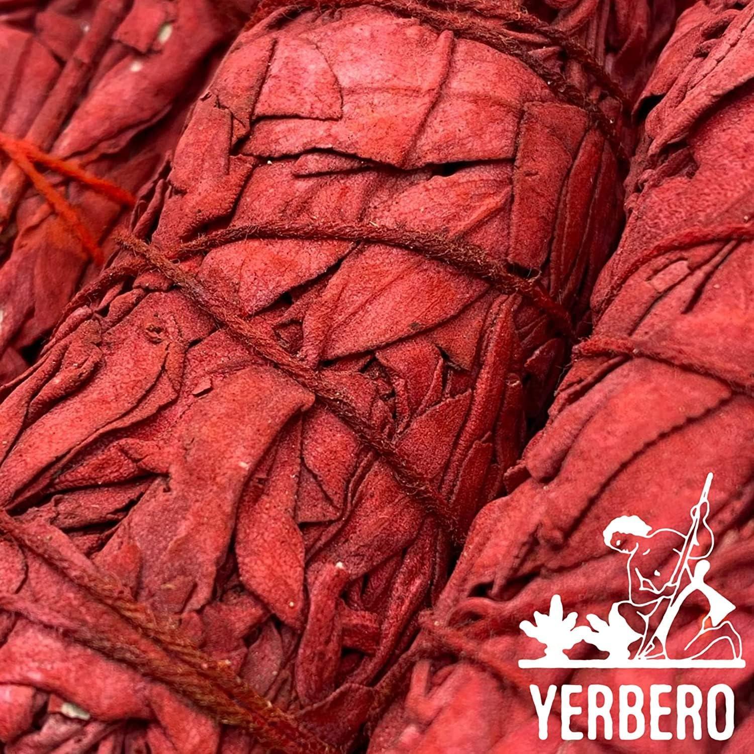 Palo de Salvia Blanca YERBERO 10cm Sangre de Dragón 1 Unidad