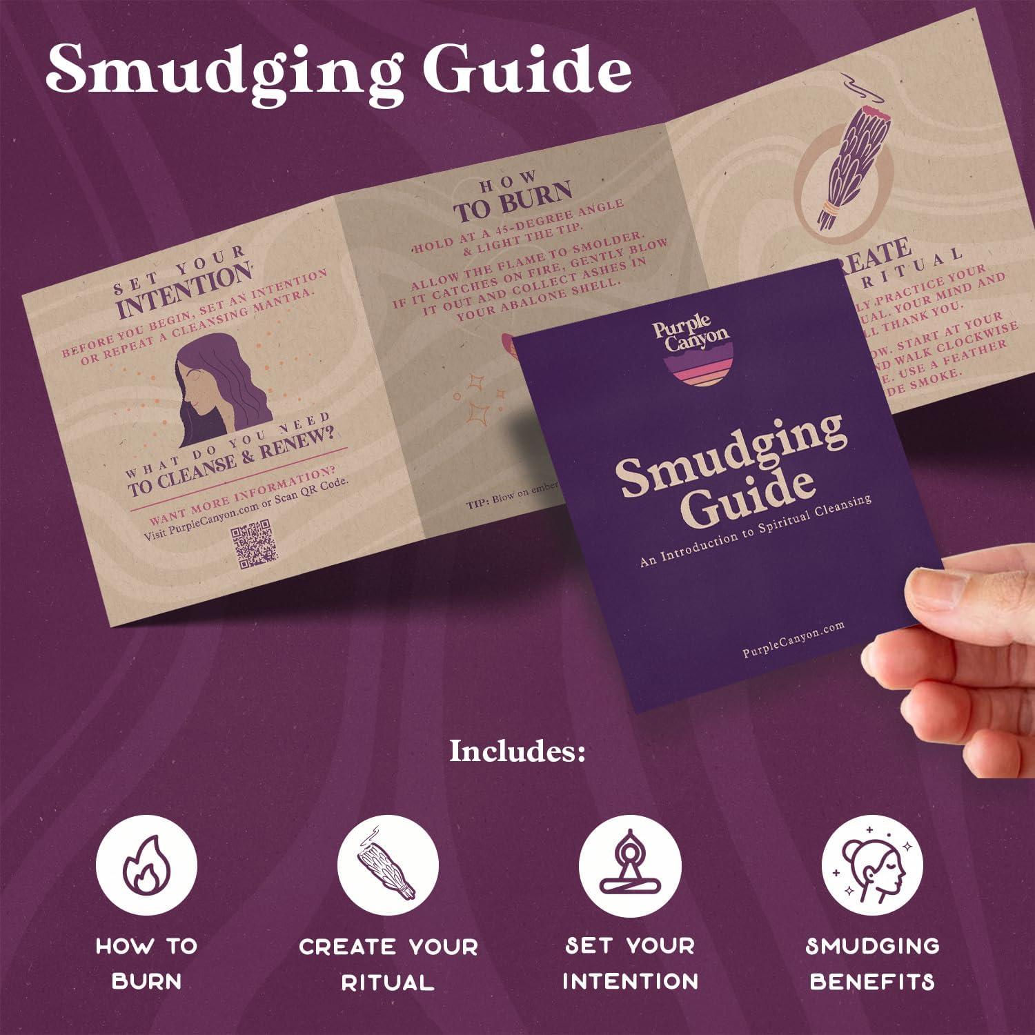 Paquete de 3 Palos de Salvia Blanca Purple Canyon - 10 cm