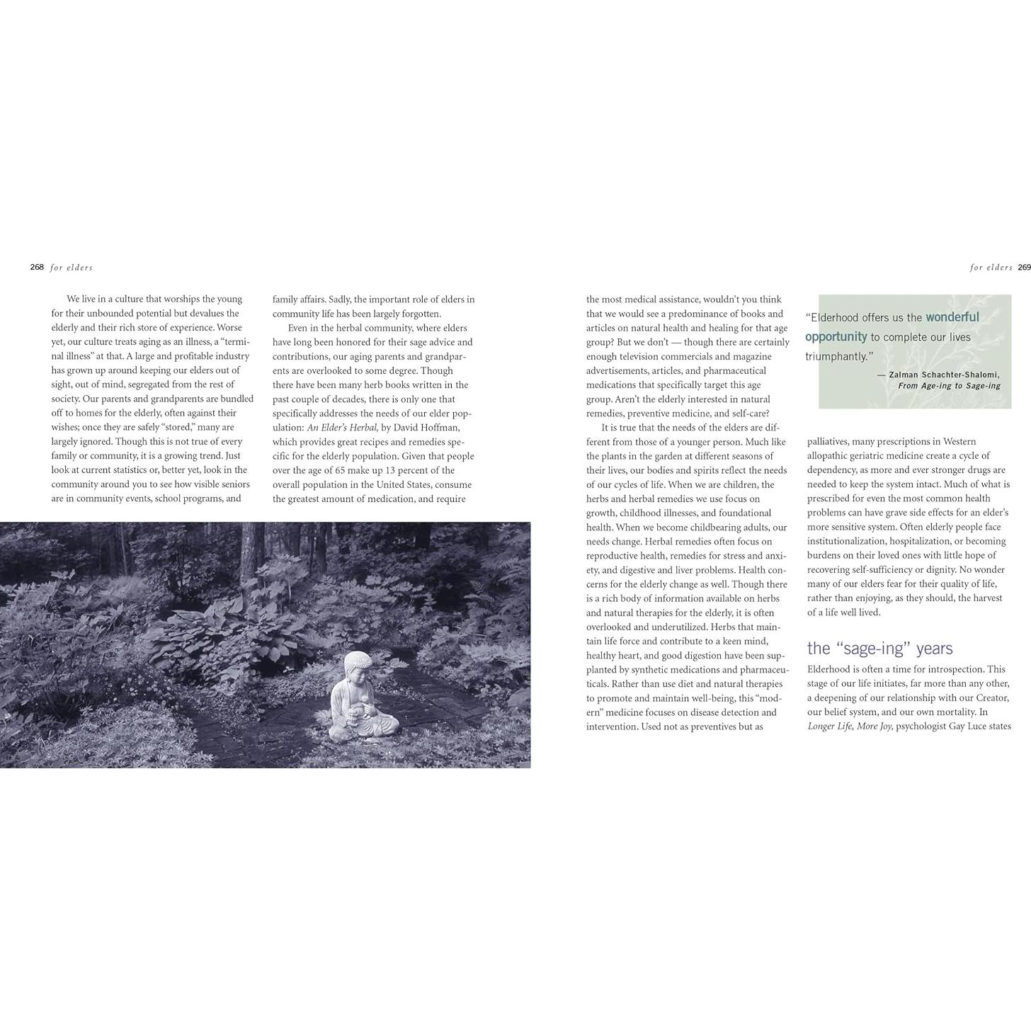 Rosemary Gladstar's Herbal Recipes for Vibrant Health: 175 Teas, Tonics, Oils, Salves, Tinctures, and Other Natural Remedies for the Entire Family