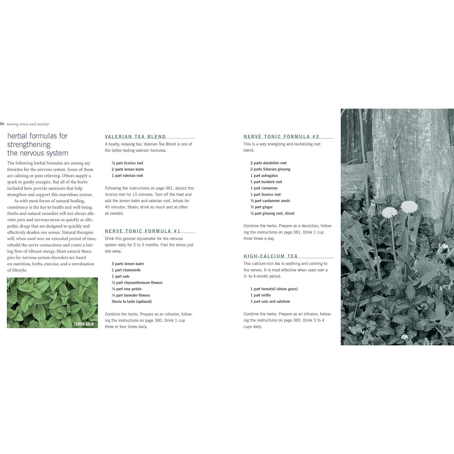 Rosemary Gladstar's Herbal Recipes for Vibrant Health: 175 Teas, Tonics, Oils, Salves, Tinctures, and Other Natural Remedies for the Entire Family