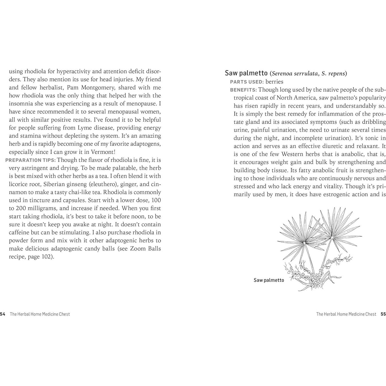 Herbs for Long-Lasting Health: How to Make and Use Herbal Remedies for Lifelong Vitality. A Storey BASICS® Title