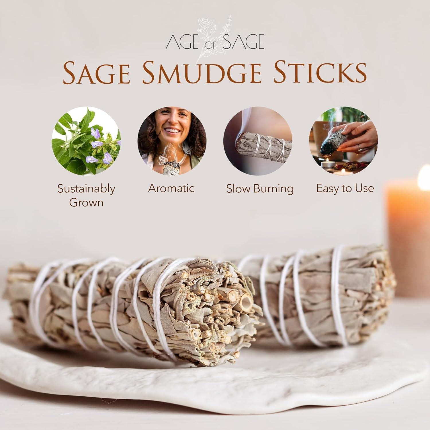 Palos de Salvia Blanca AosBet - 10.16 cm - 12 Unidades