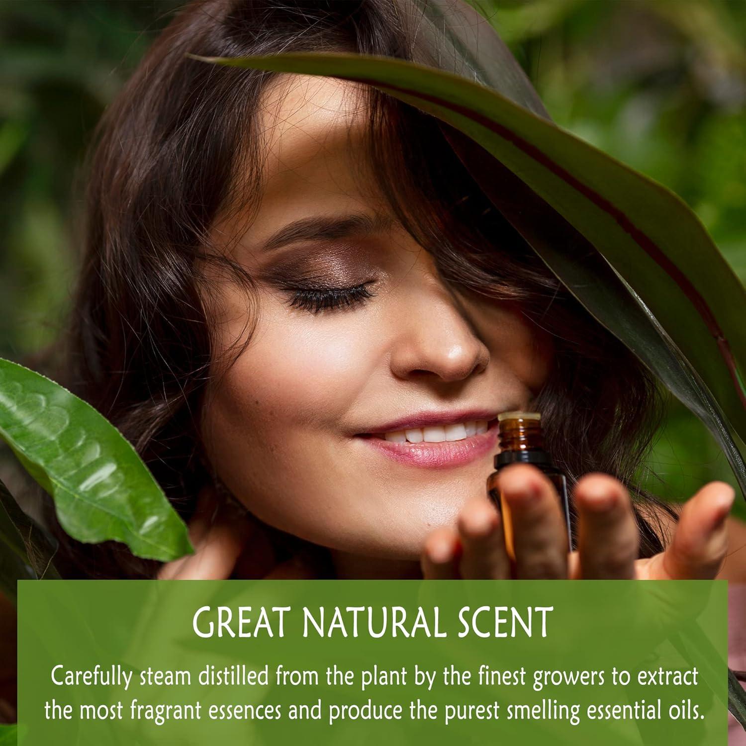 Aceite Esencial de Tomillo Timo 100% Puro Rosemary Creek 30 ml