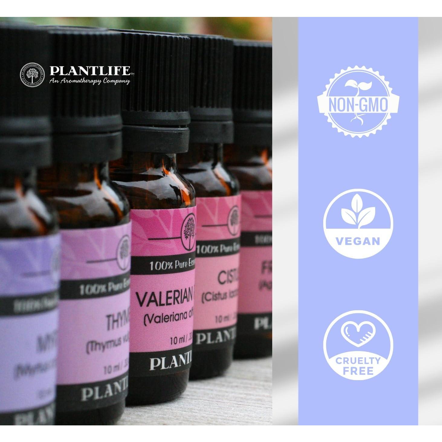 Aceite Esencial de Romero Plantlife 30 ml 100% Puro Terapéutico