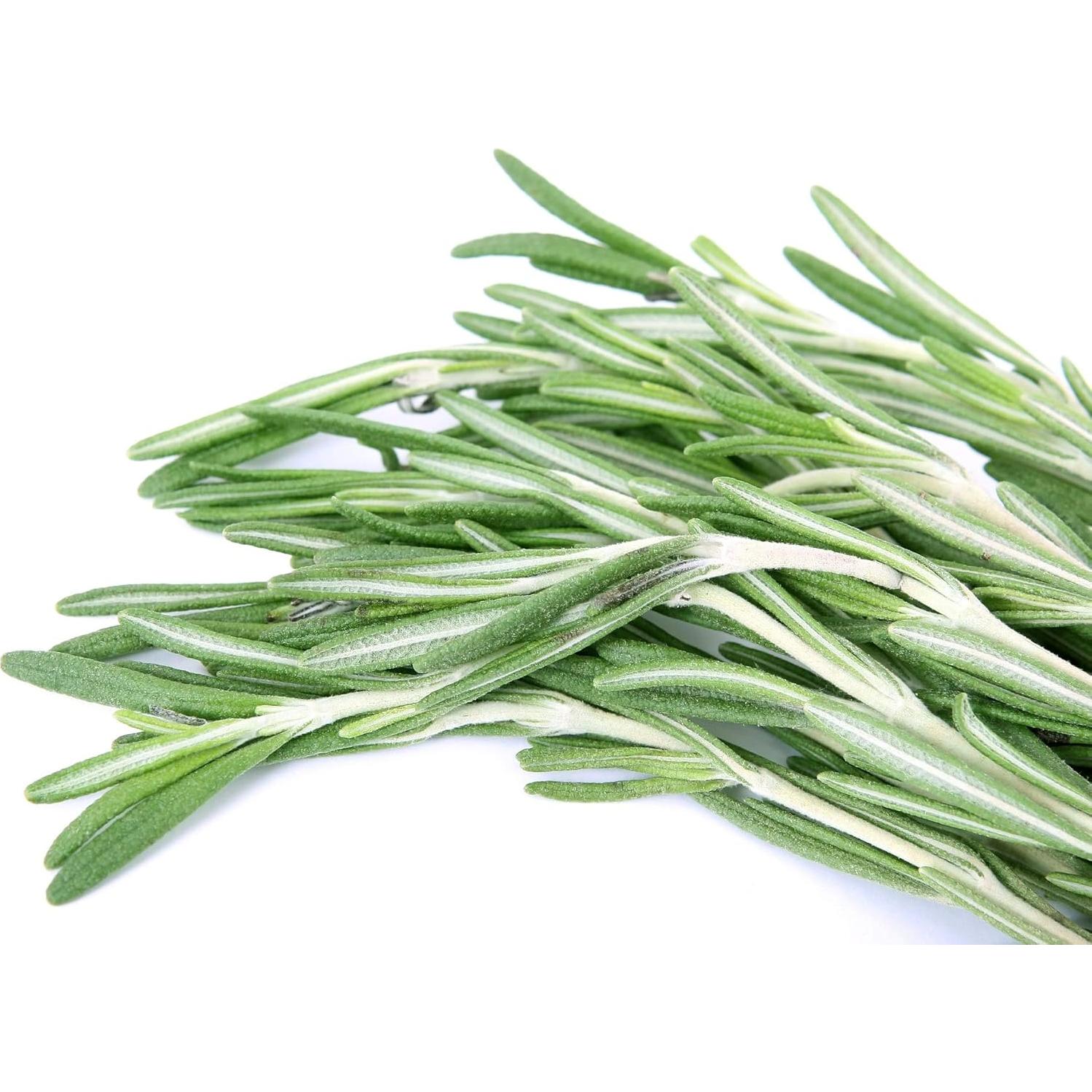 Aceite Esencial de Romero ArOmis 100% Puro 10ml - Aromaterapia