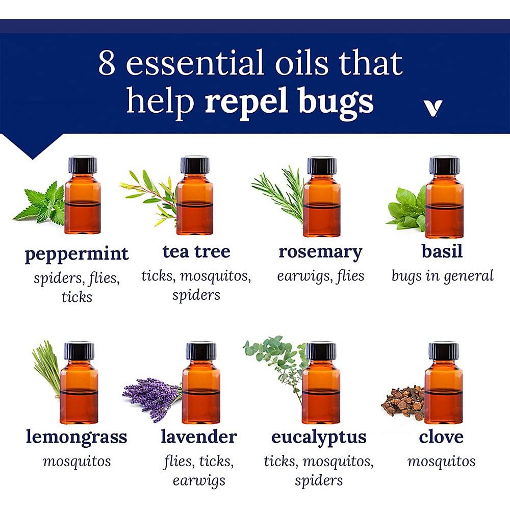 Aceite Esencial Aura Cacia Romero 14.79 ml - Puro y Natural