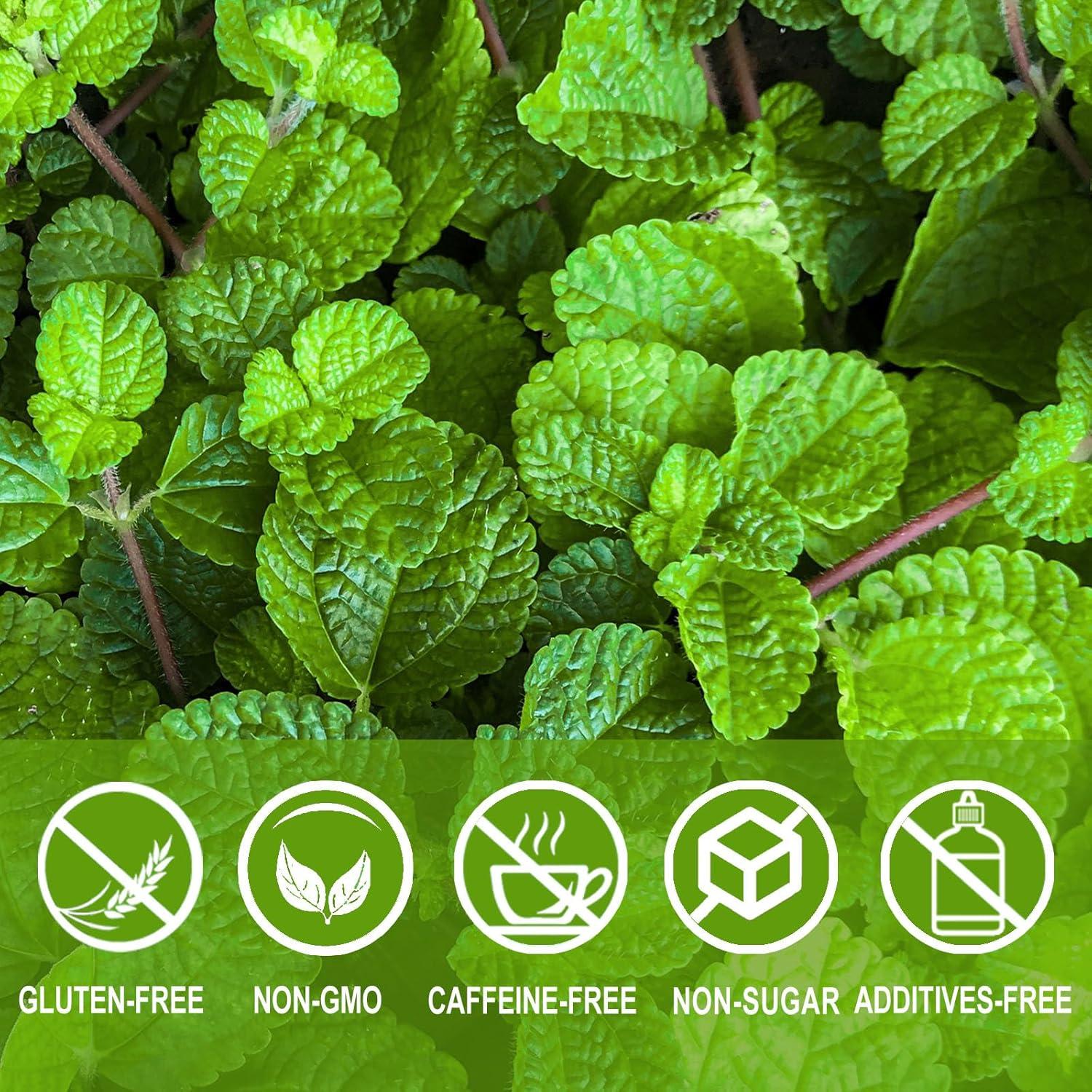 Té de Menta Verde Jarteela 60 Bolsas 1.5g - Herbal Natural