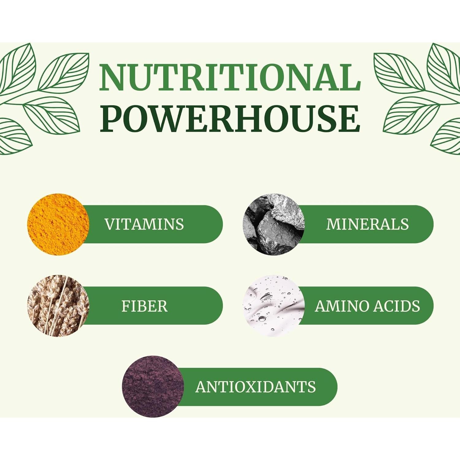 Cápsulas de Moringa Pura 5000mg Nobi Nutrition 60 Unidades