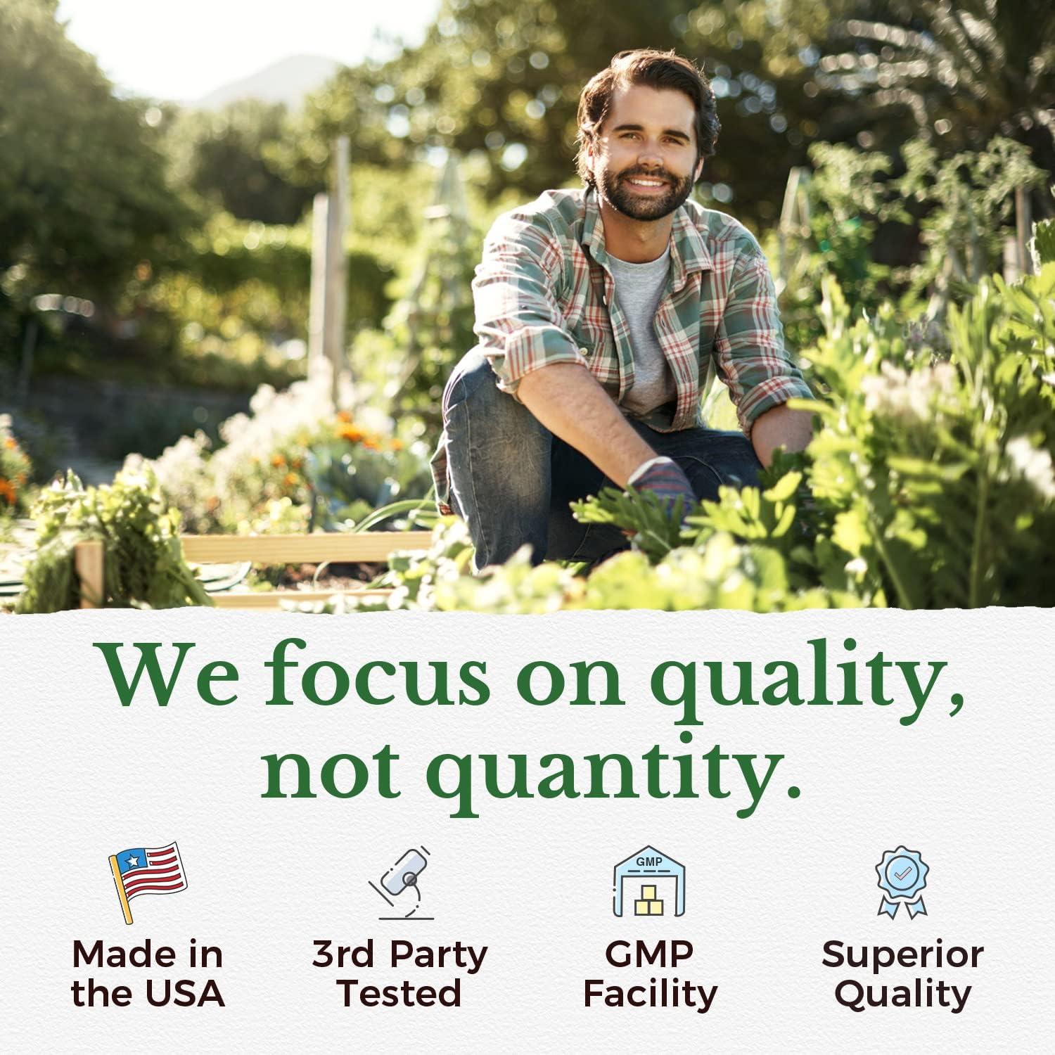 Cápsulas de Moringa Vitalitown 11g - 90 Cápsulas Puras