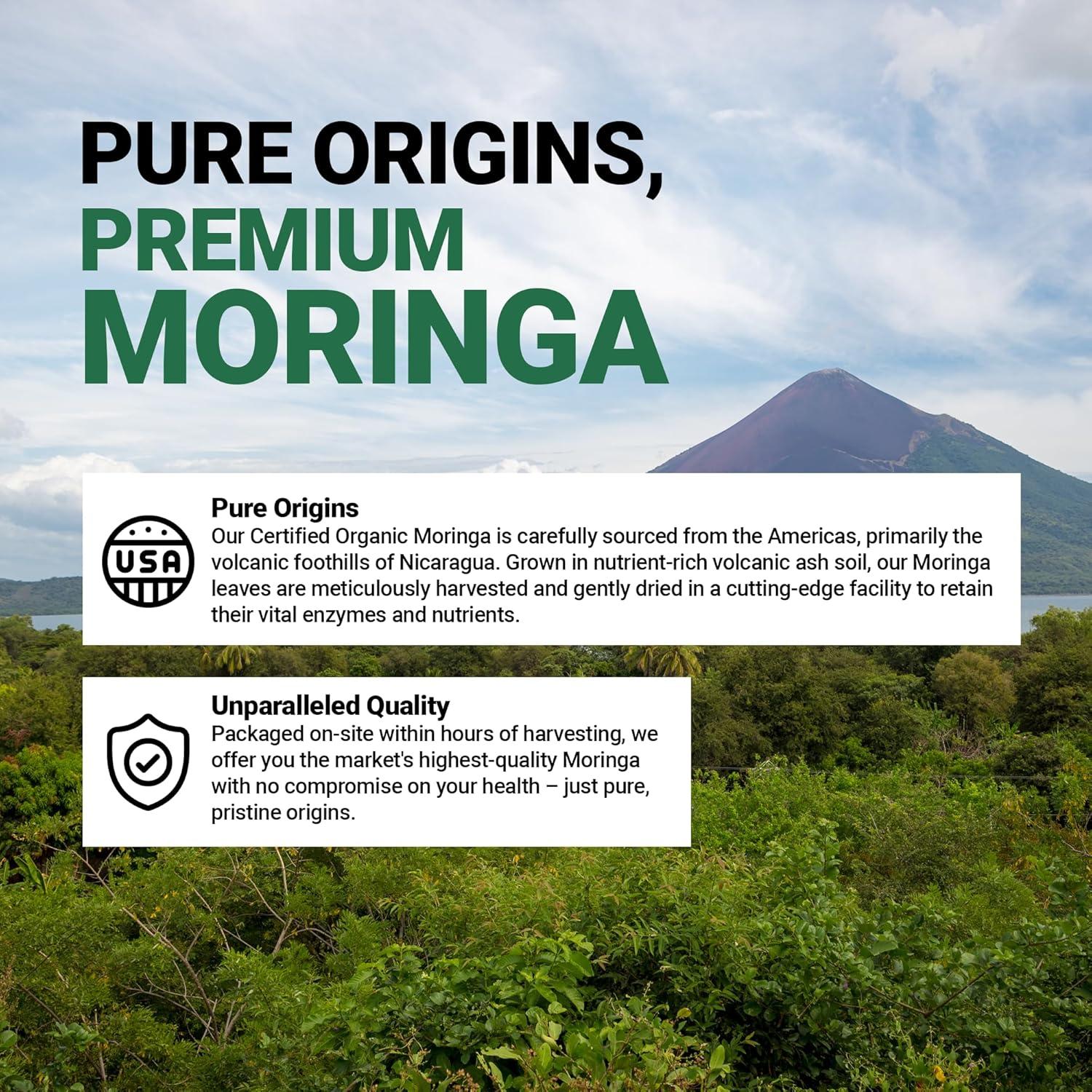 Cápsulas de Moringa Pura 800mg Right Health Nutra - 60 Unidades