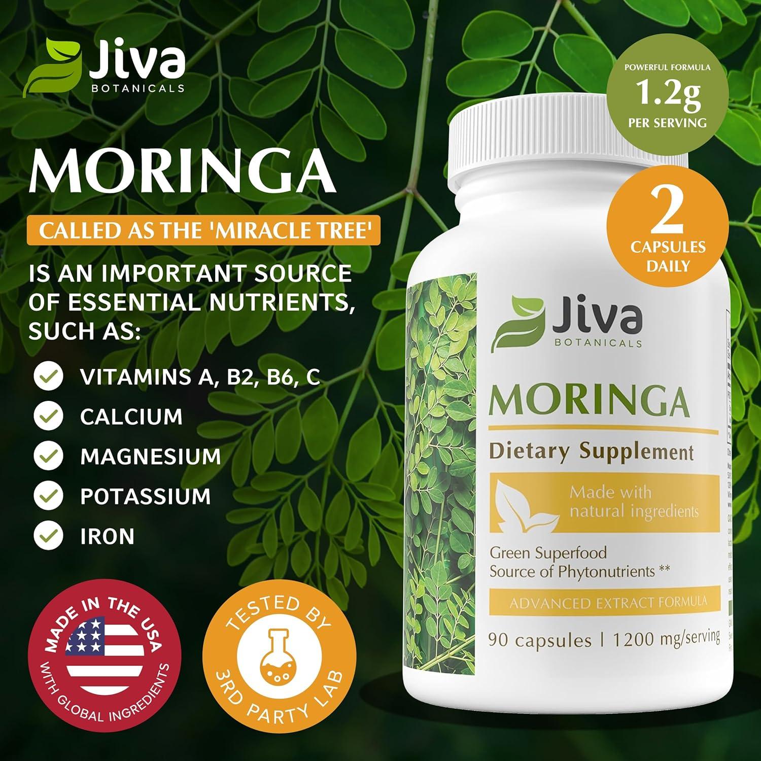 Jiva Botanicals Moringa Leaves Extract Capsules - Made from Moringa Leaf Powder and Oleifera Supplement for Immune and Normal Joint Support - 90 Capsules (Pack of 1)