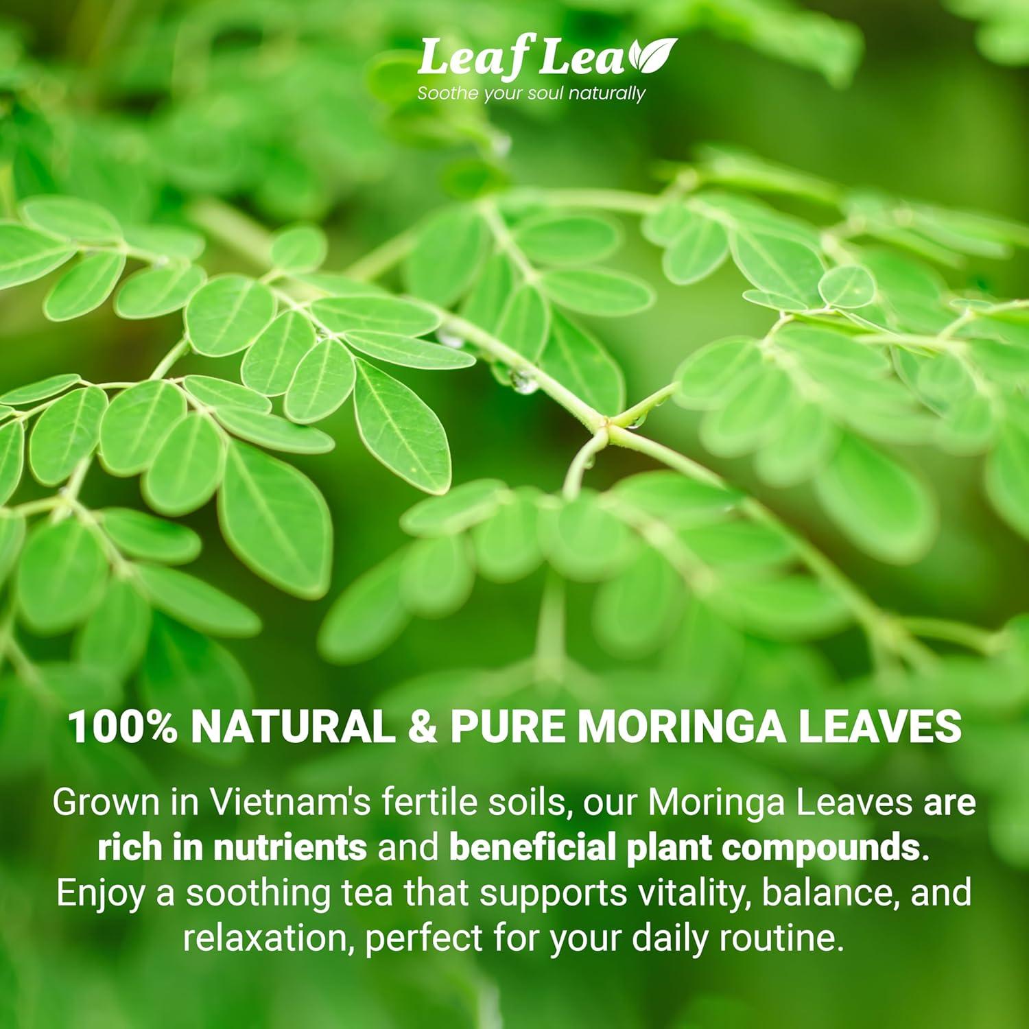 Té de Moringa LeafLea 40 Bolsitas 100% Natural Sin Cafeína