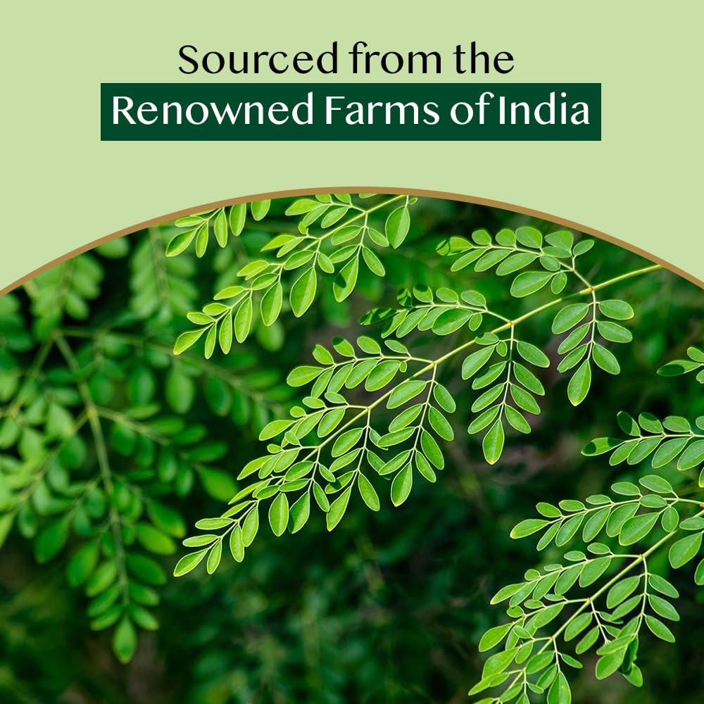 Bolsitas de Té de Moringa VAHDAM 100 Unidades Ecológicas