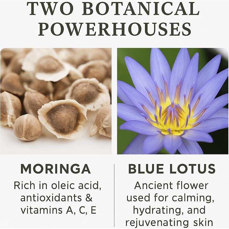 Aceite de Semilla de Moringa A M 60 ml - Facial y Capilar Premium