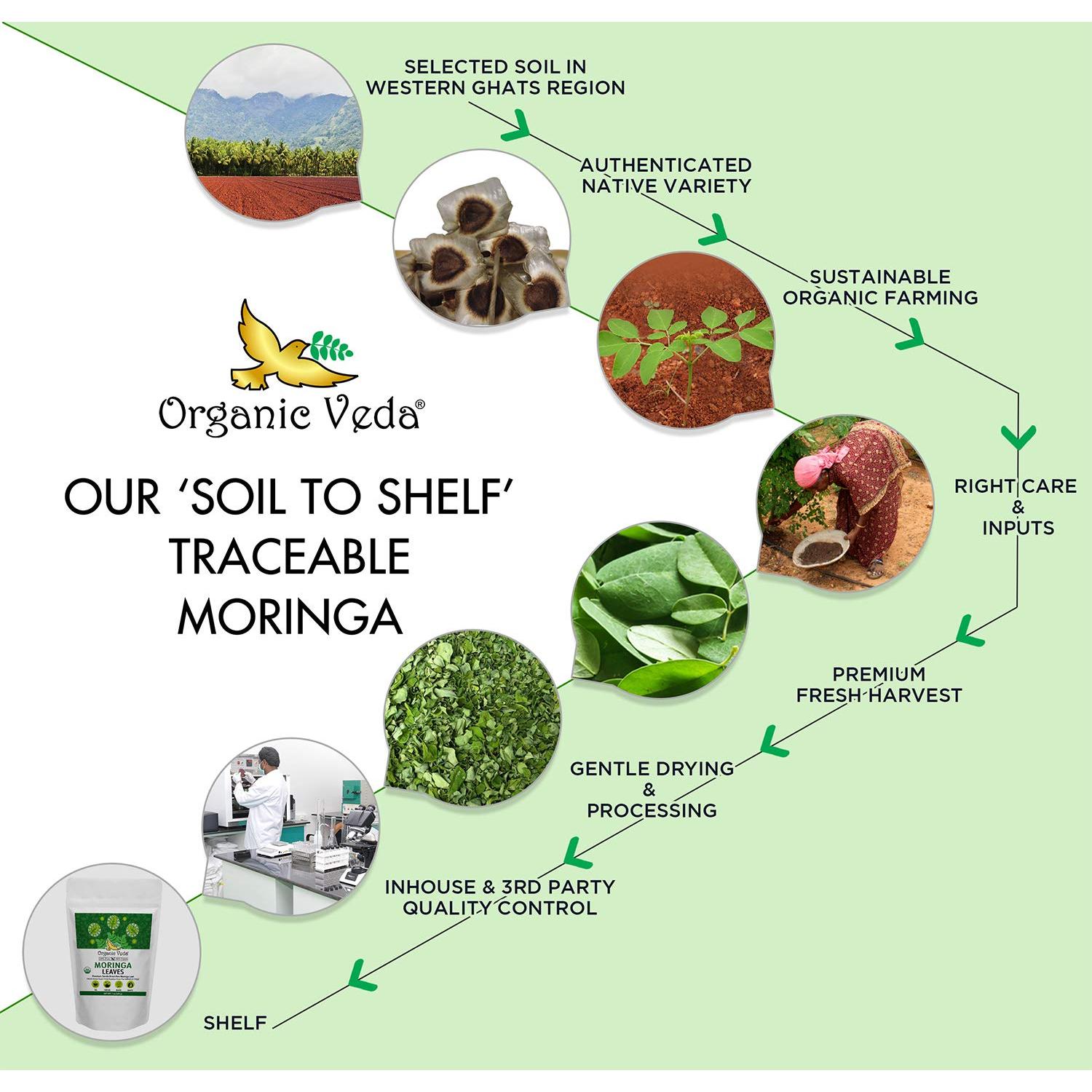 Hojas de Té de Moringa Orgánica Veda - 198g - Antioxidantes y Energía
