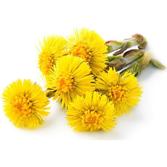 Hojas Secas de Coltsfoot Biokoma 50g Orgánico Certificado USDA