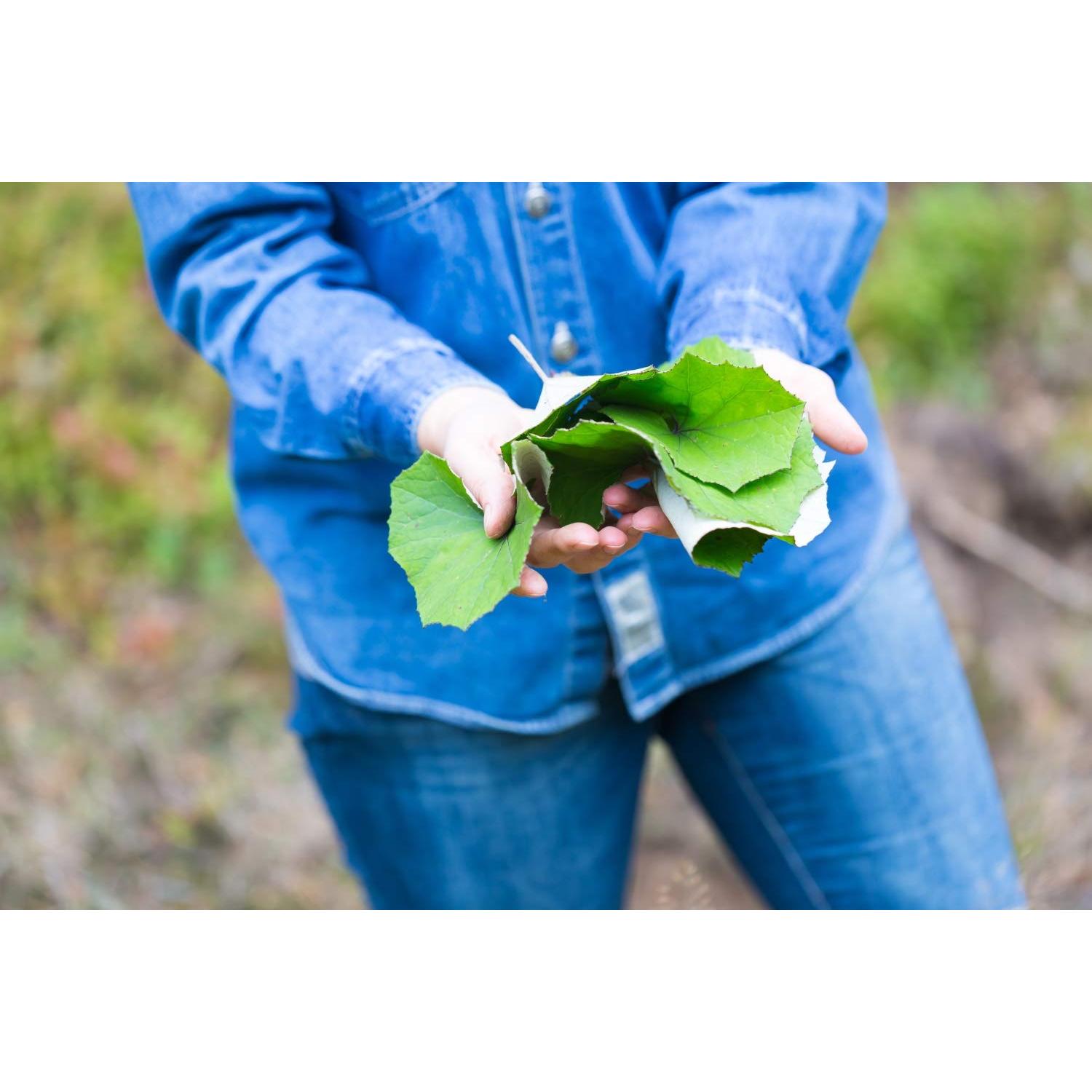 Té Herbal Hoja de Coltsfoot Health Embassy 50g - Natural y Libre de OGM