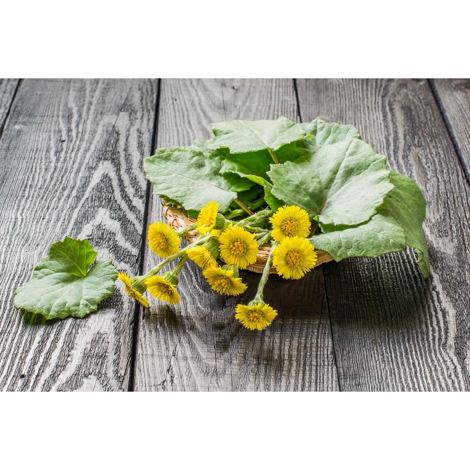 Té Herbal Hoja de Coltsfoot Health Embassy 50g - Natural y Libre de OGM