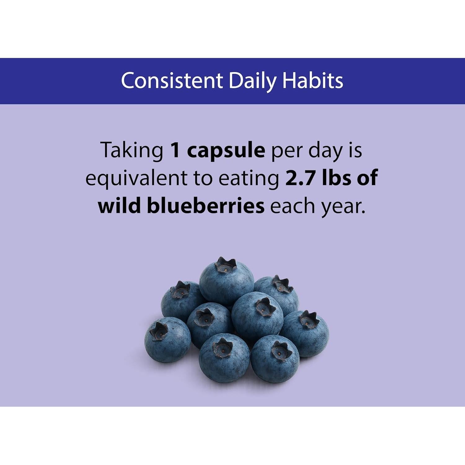 Cápsulas de Arándano Silvestre Orgánico KOYAH - 60 Unidades