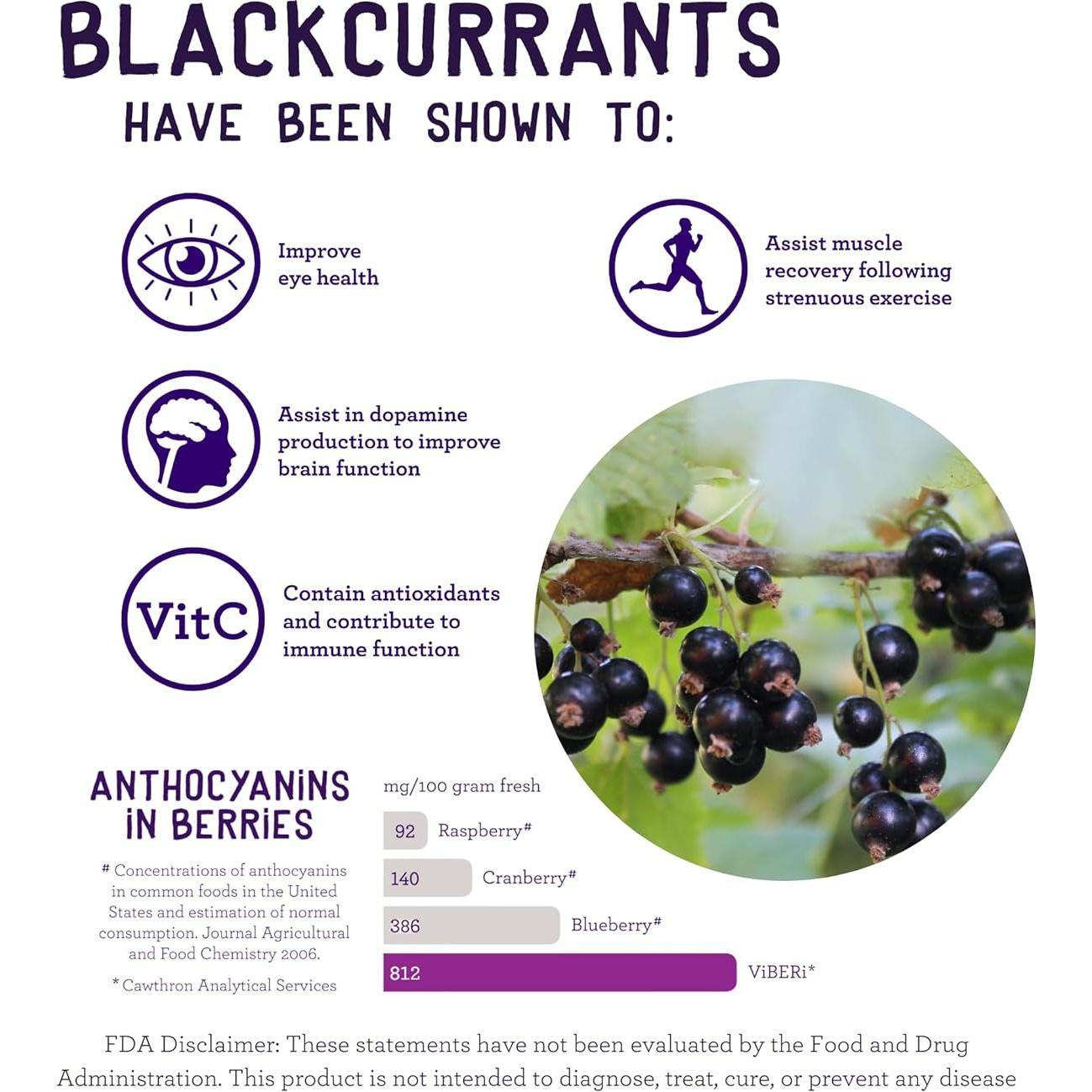 Polvo de Grosella Negra Orgánica ViBERi 450g - Vitamina C