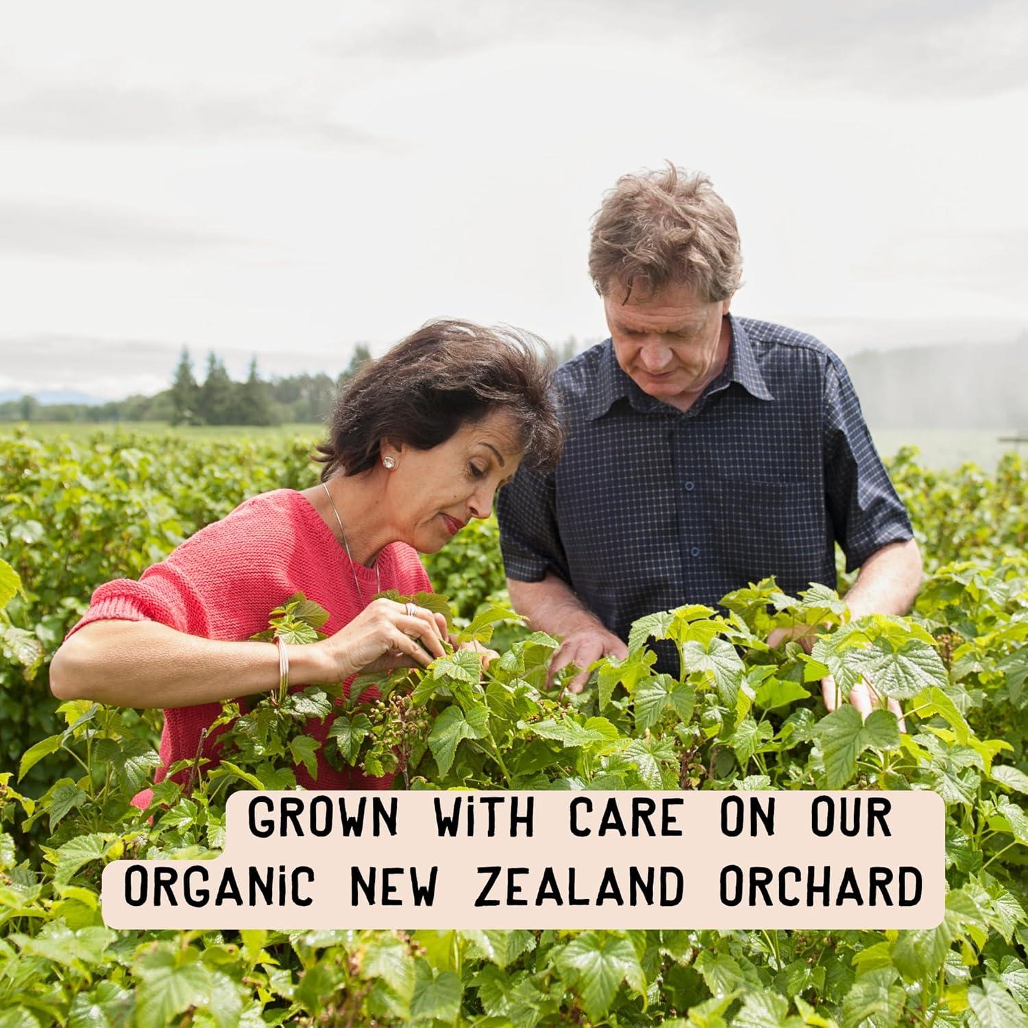 Polvo de Grosella Negra Orgánica ViBERi 450g - Vitamina C