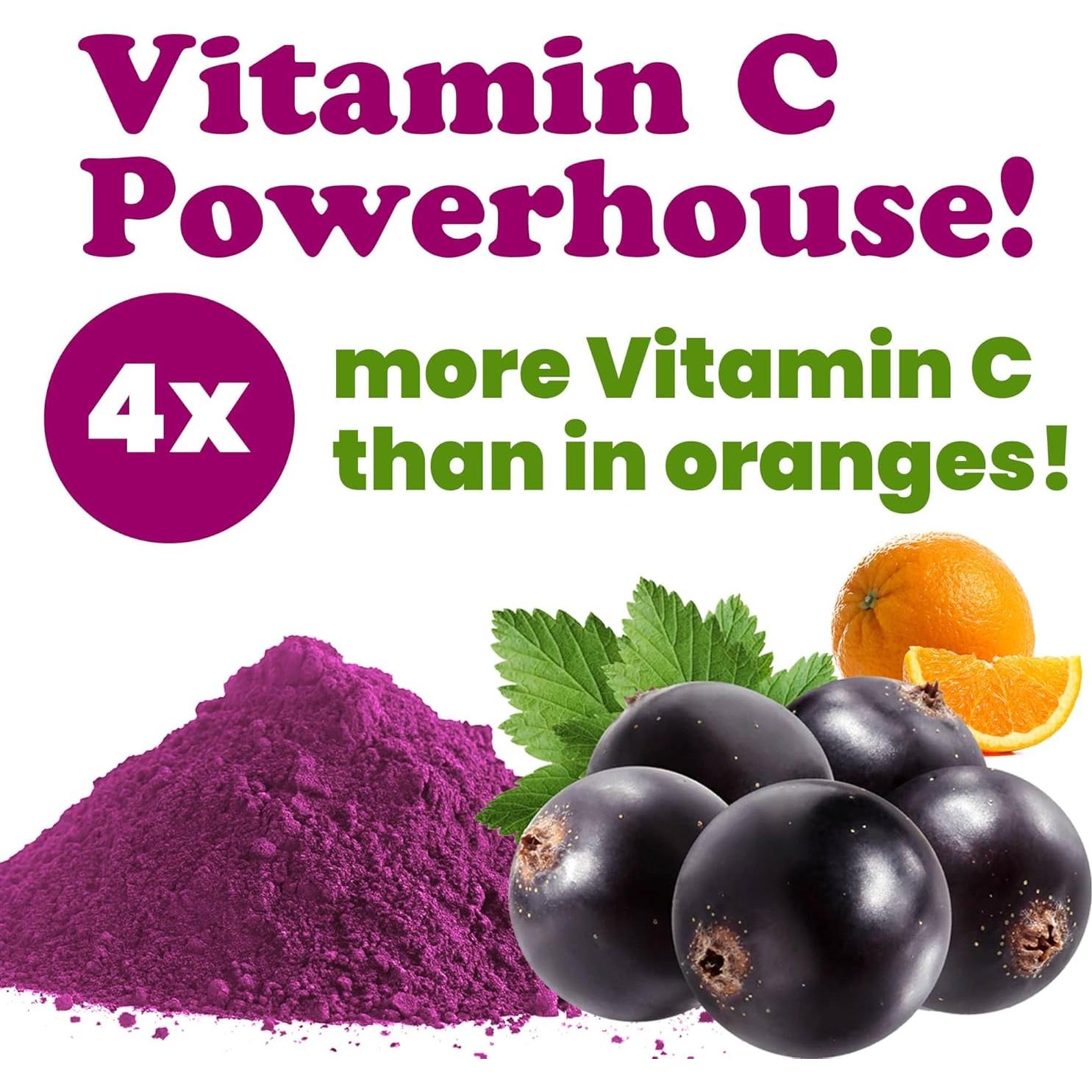 Polvo de Grosella Negra Food to Live 0.45 kg - Superalimento Vegano