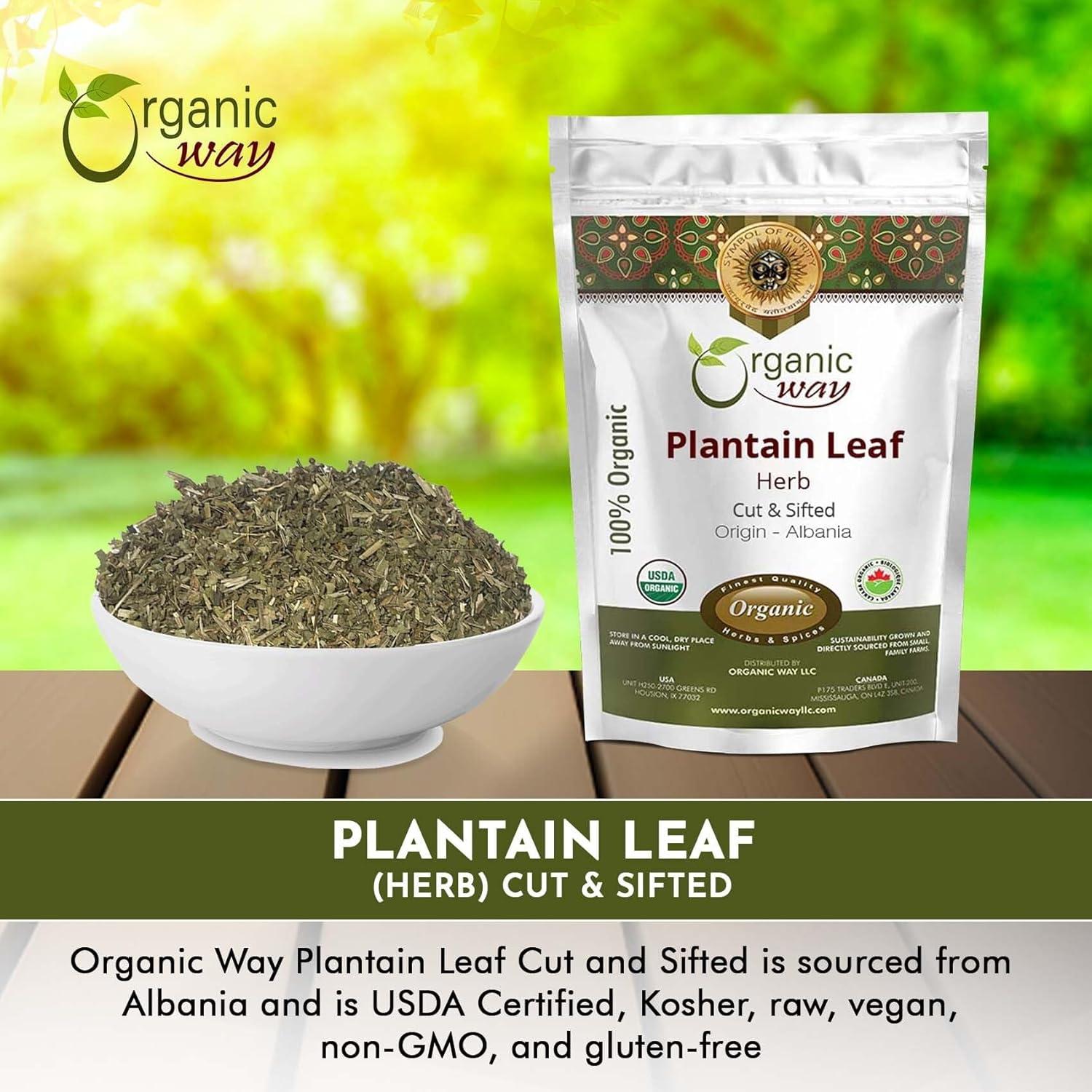 Hoja de Plátano Orgánica Cortada 454 g - Organic Way