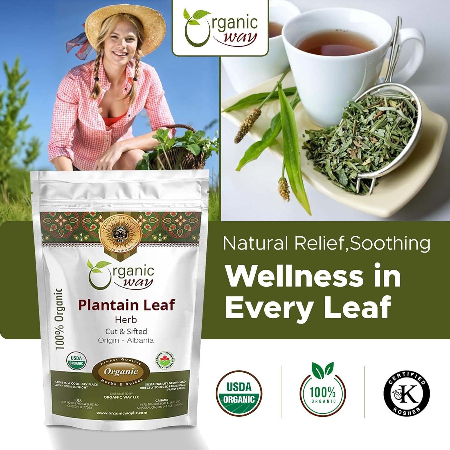 Hoja de Plátano Orgánica Cortada 454 g - Organic Way