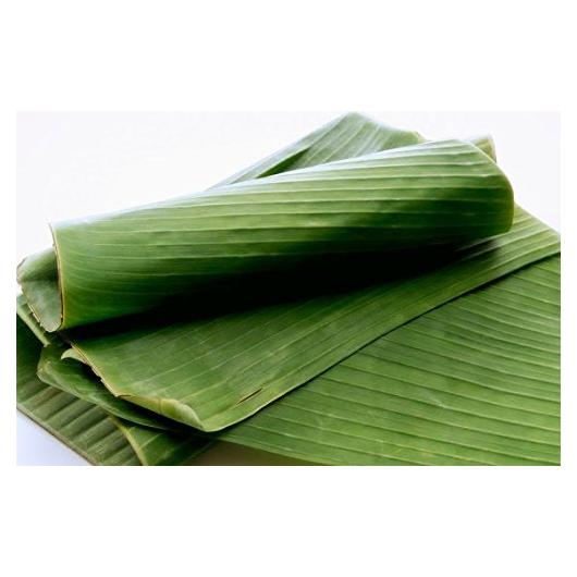 Hojas de Plátano Frescas 0.91 kg - TastePadThai