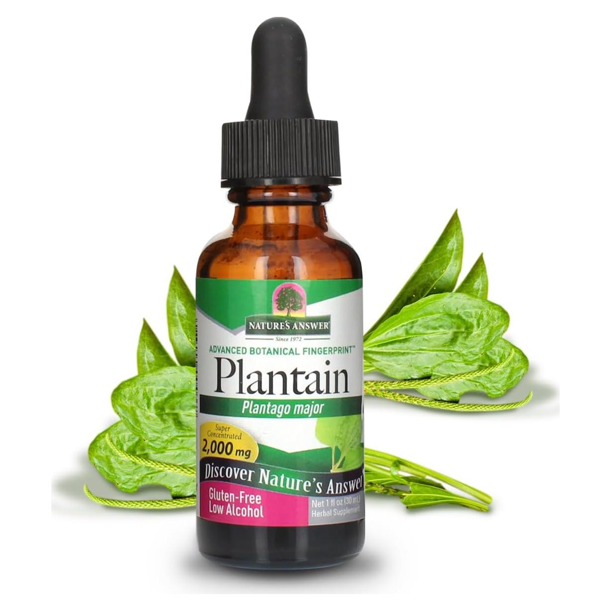 Extracto Líquido de Hoja de Plátano Nature's Answer 2000mg 30ml