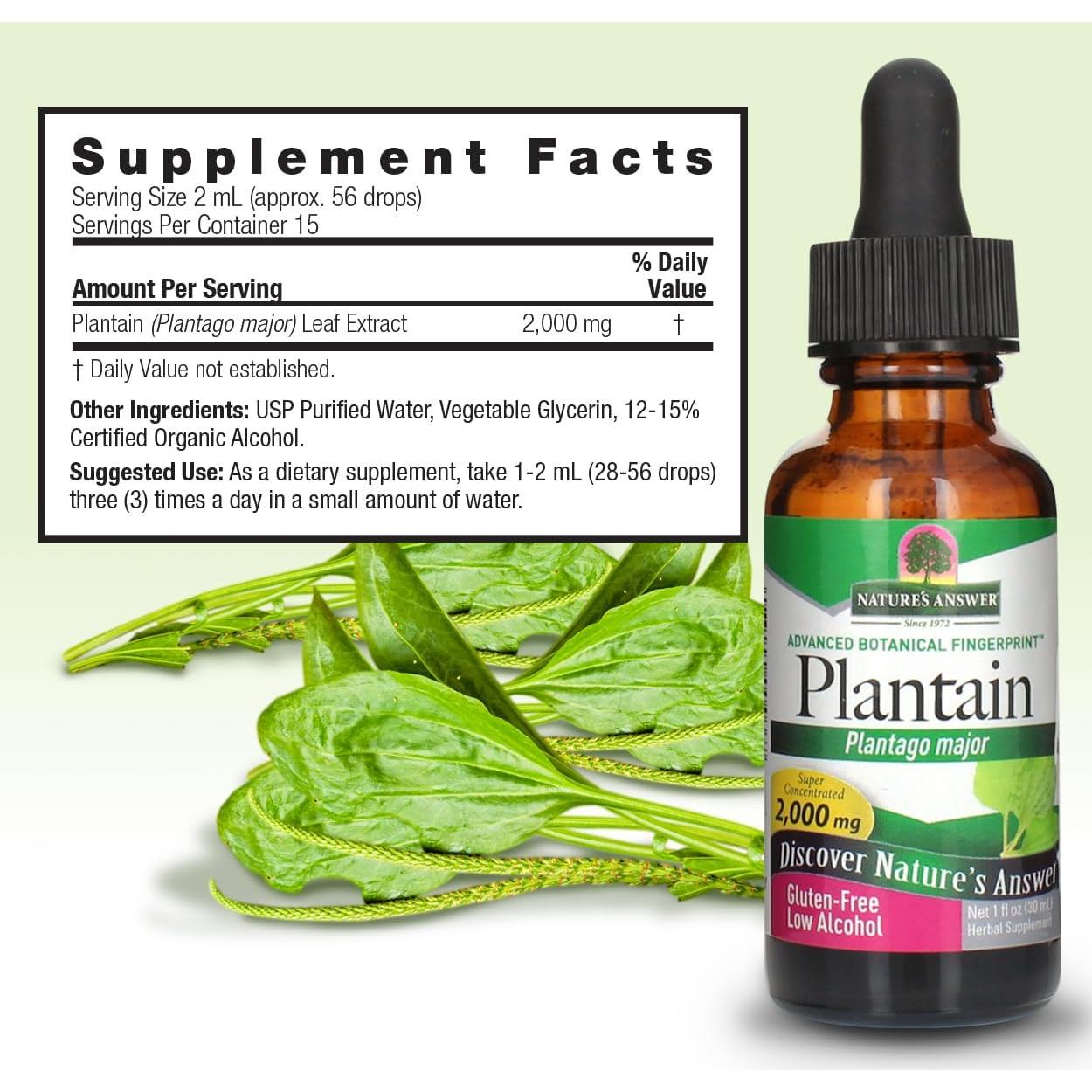 Extracto Líquido de Hoja de Plátano Nature's Answer 2000mg 30ml