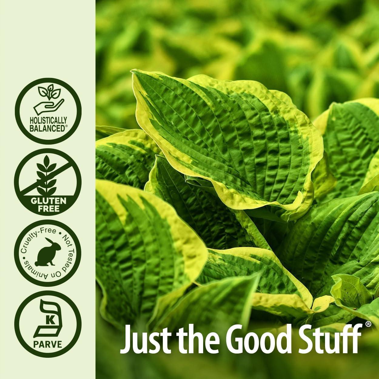 Extracto Líquido de Hoja de Plátano Nature's Answer 2000mg 30ml