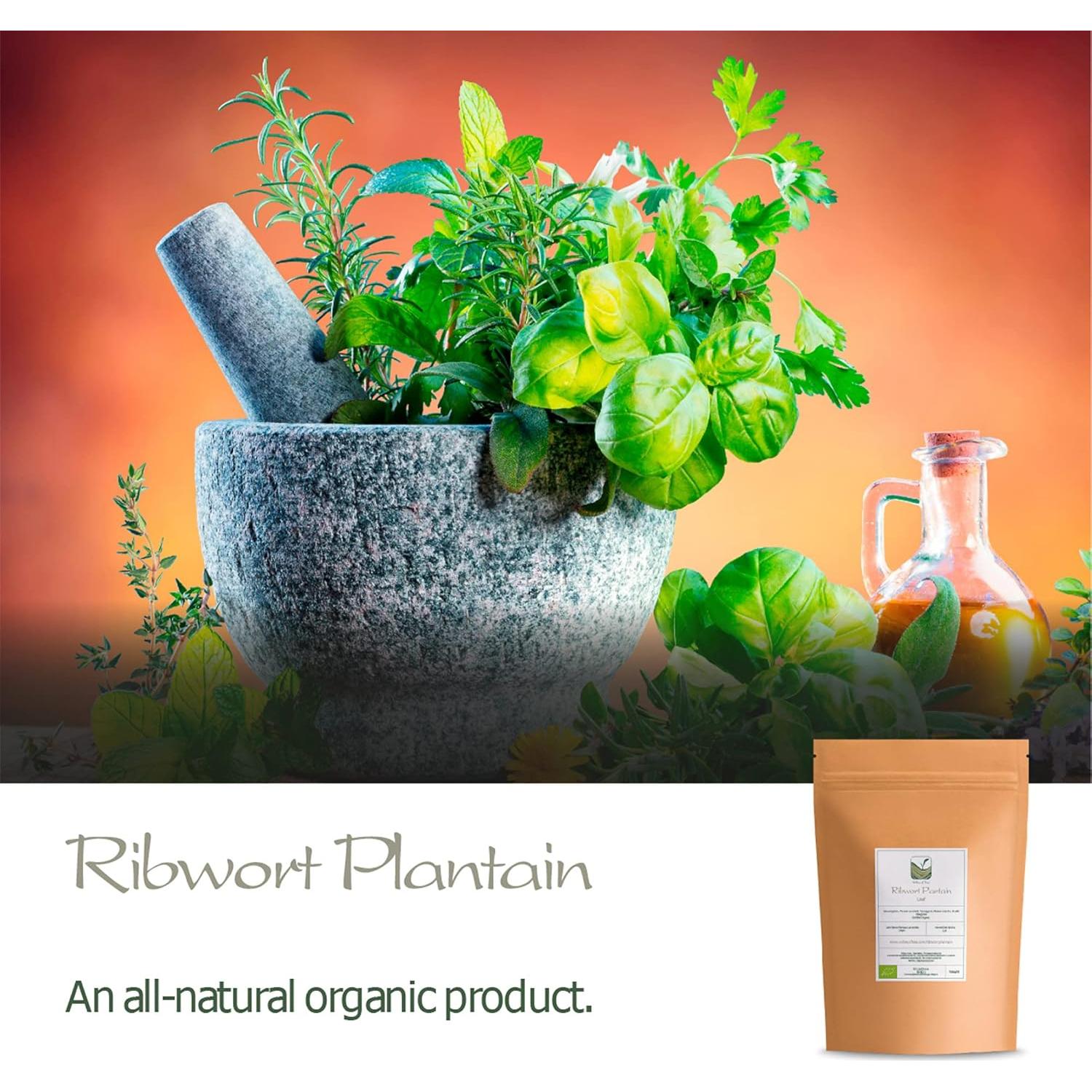 Té de Hoja de Plátano Orgánico 100g - Valley of Tea