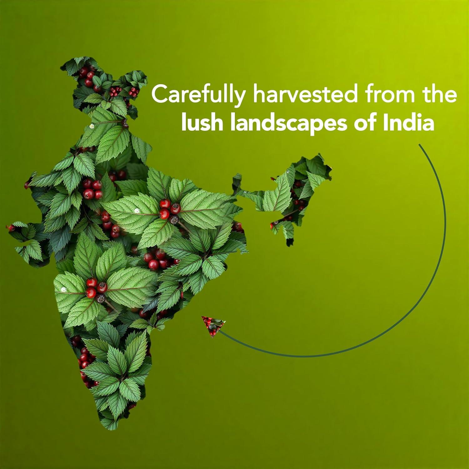 Aceite Esencial de Gaulteria Majestic Pure 118 ml - Puro y Natural