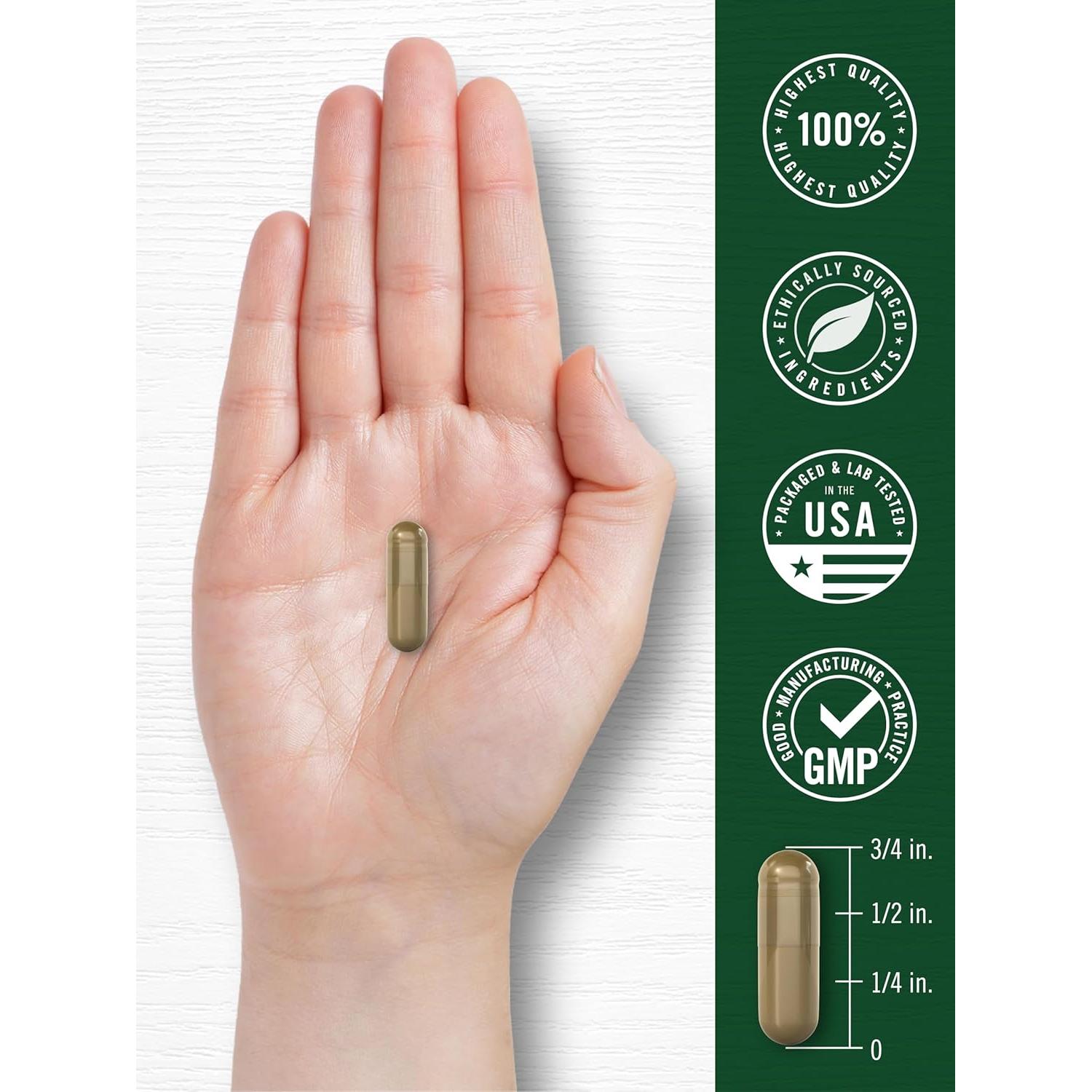 Cápsulas de Ajenjo Dulce Carlyle 430mg - Suplemento Herbal 200 Unidades