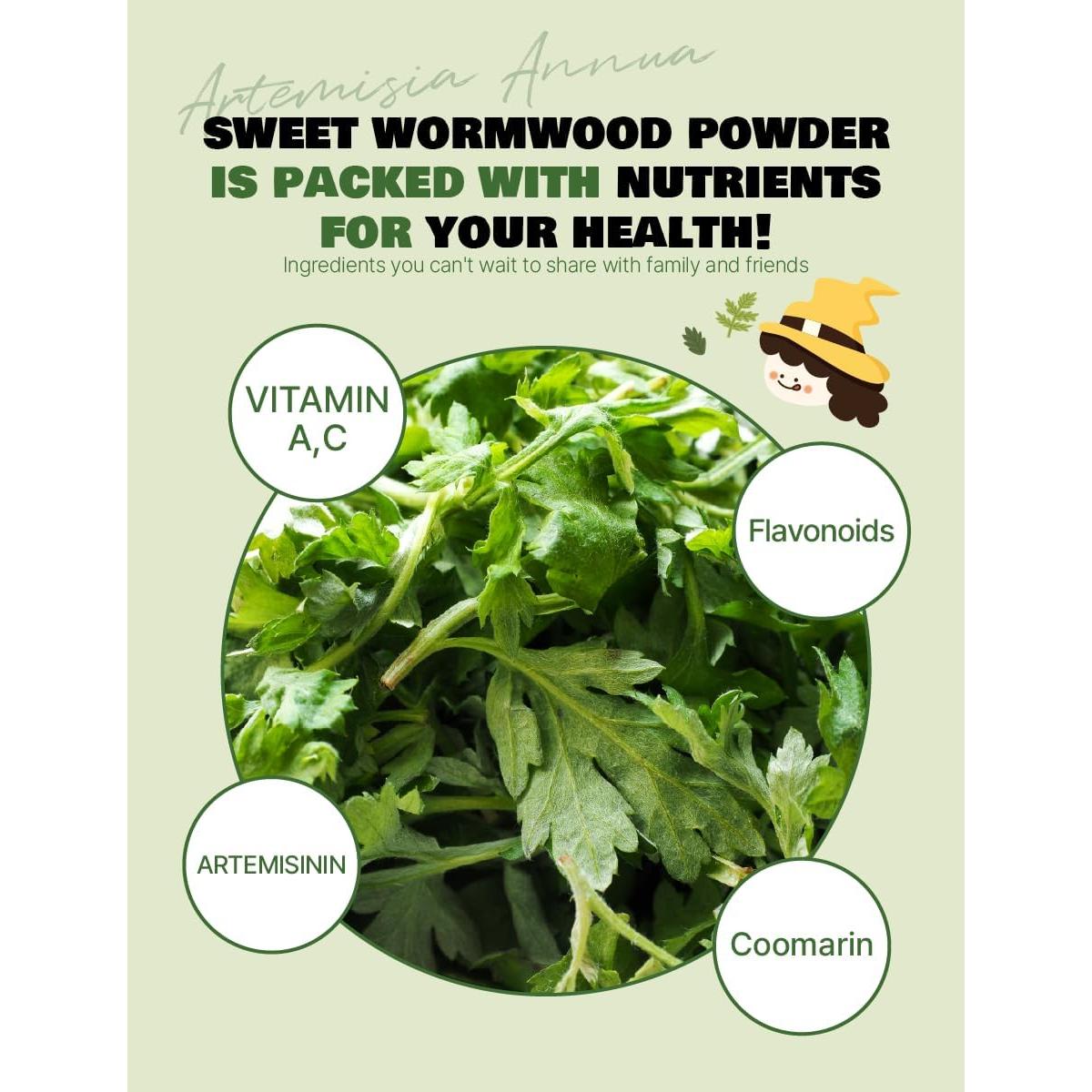 Polvo de Artemisia Anua 100% Puro Nice Witch's 170g