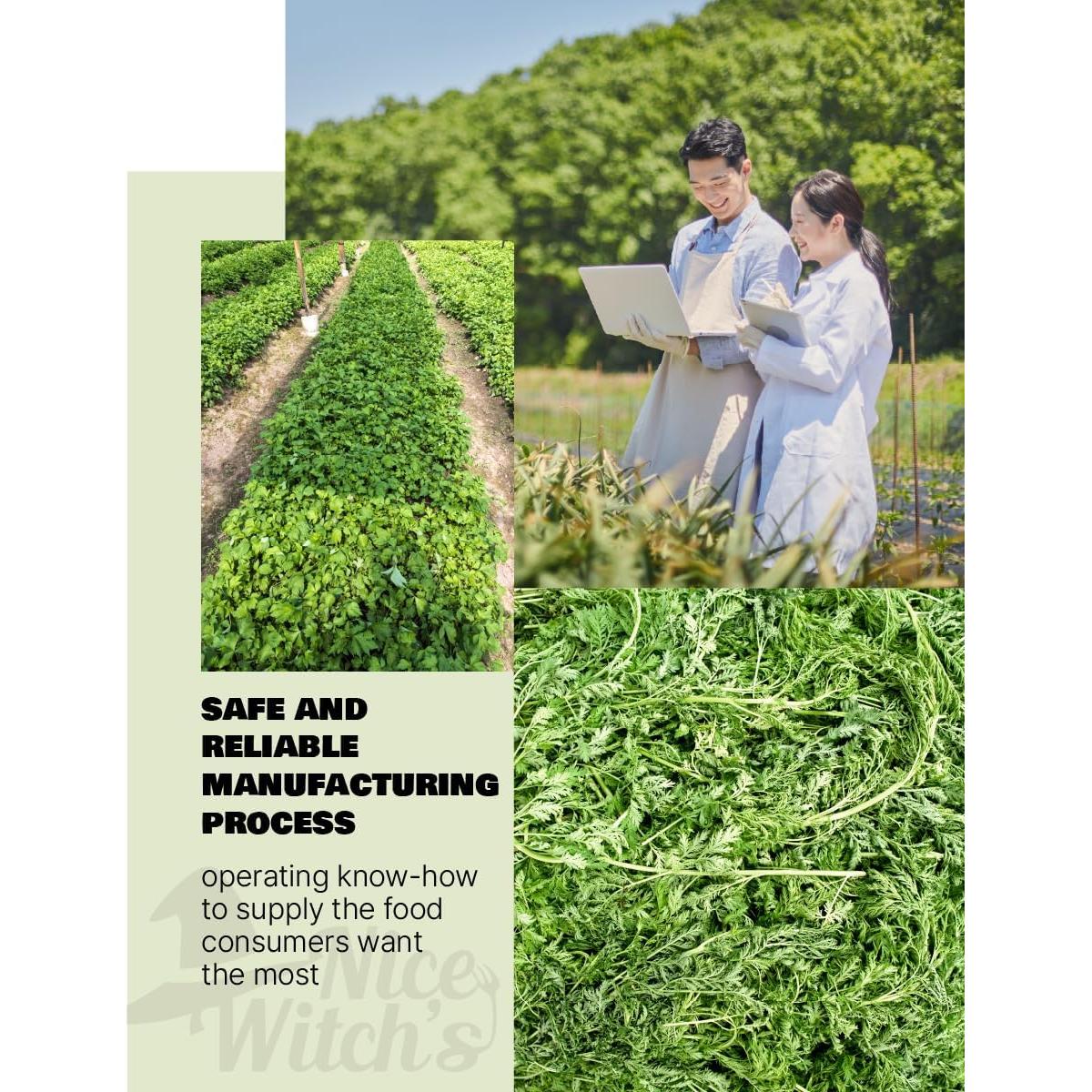 Polvo de Artemisia Anua 100% Puro Nice Witch's 170g