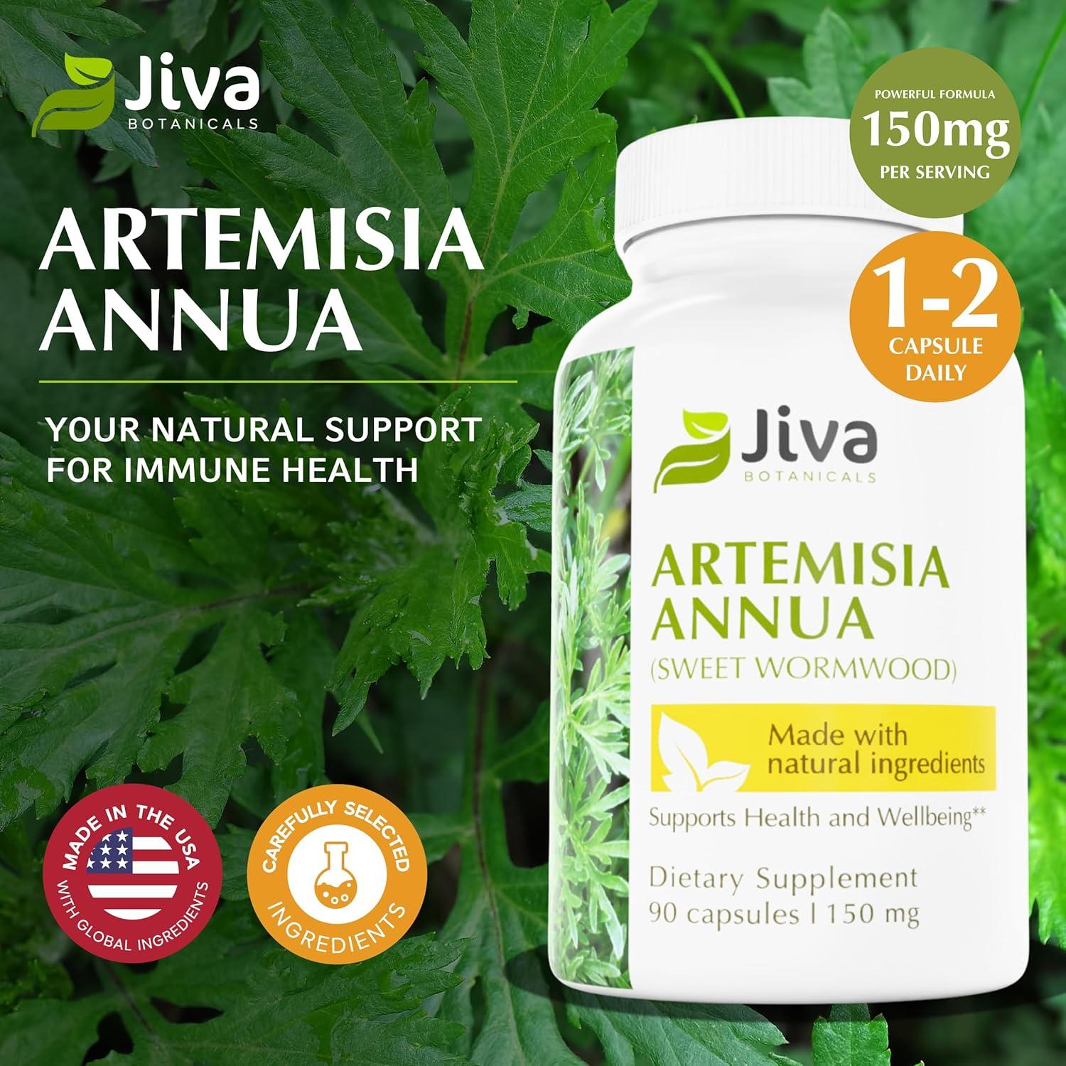 Cápsulas de Artemisia Annua Jiva Botanicals - 90 Unidades