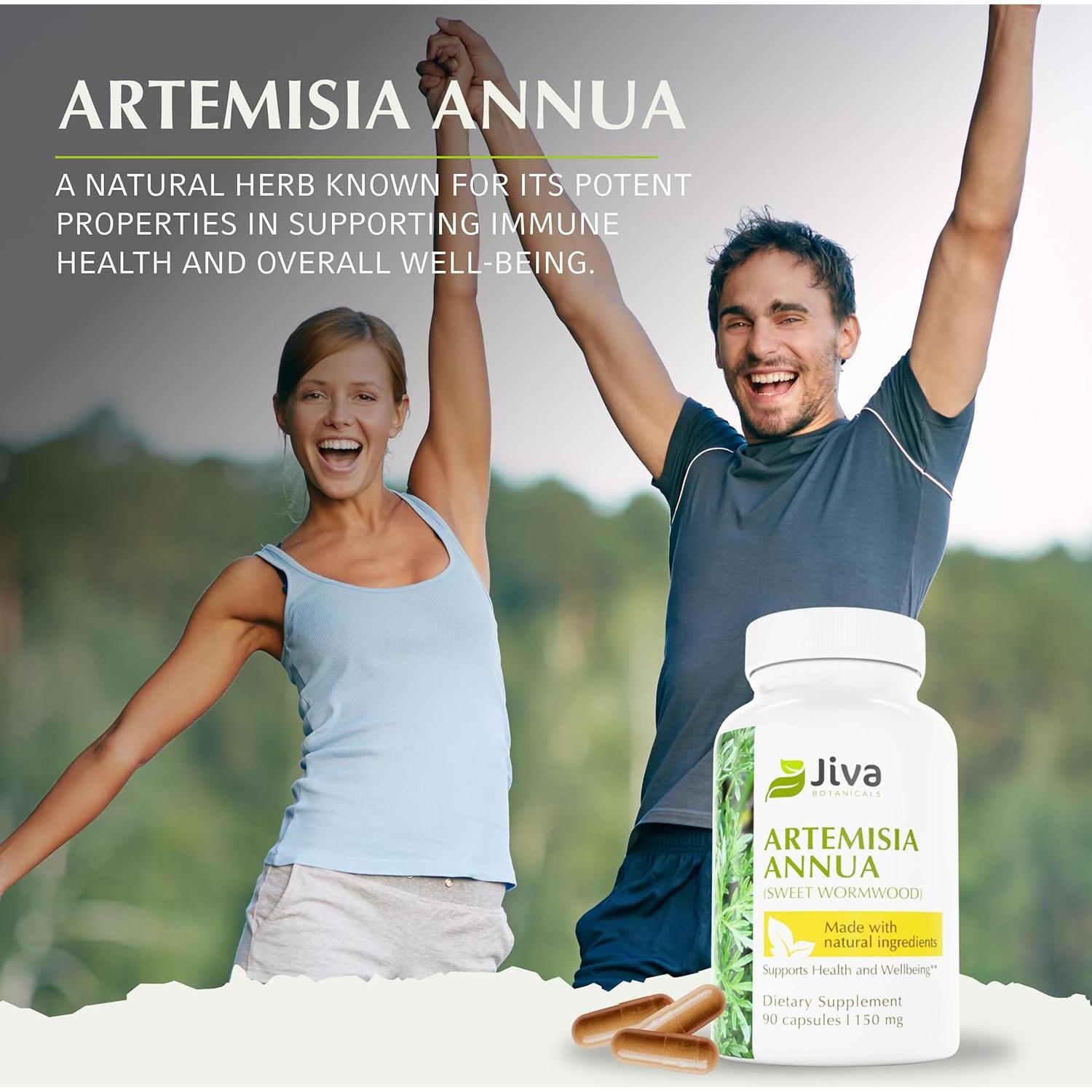 Cápsulas de Artemisia Annua Jiva Botanicals - 90 Unidades