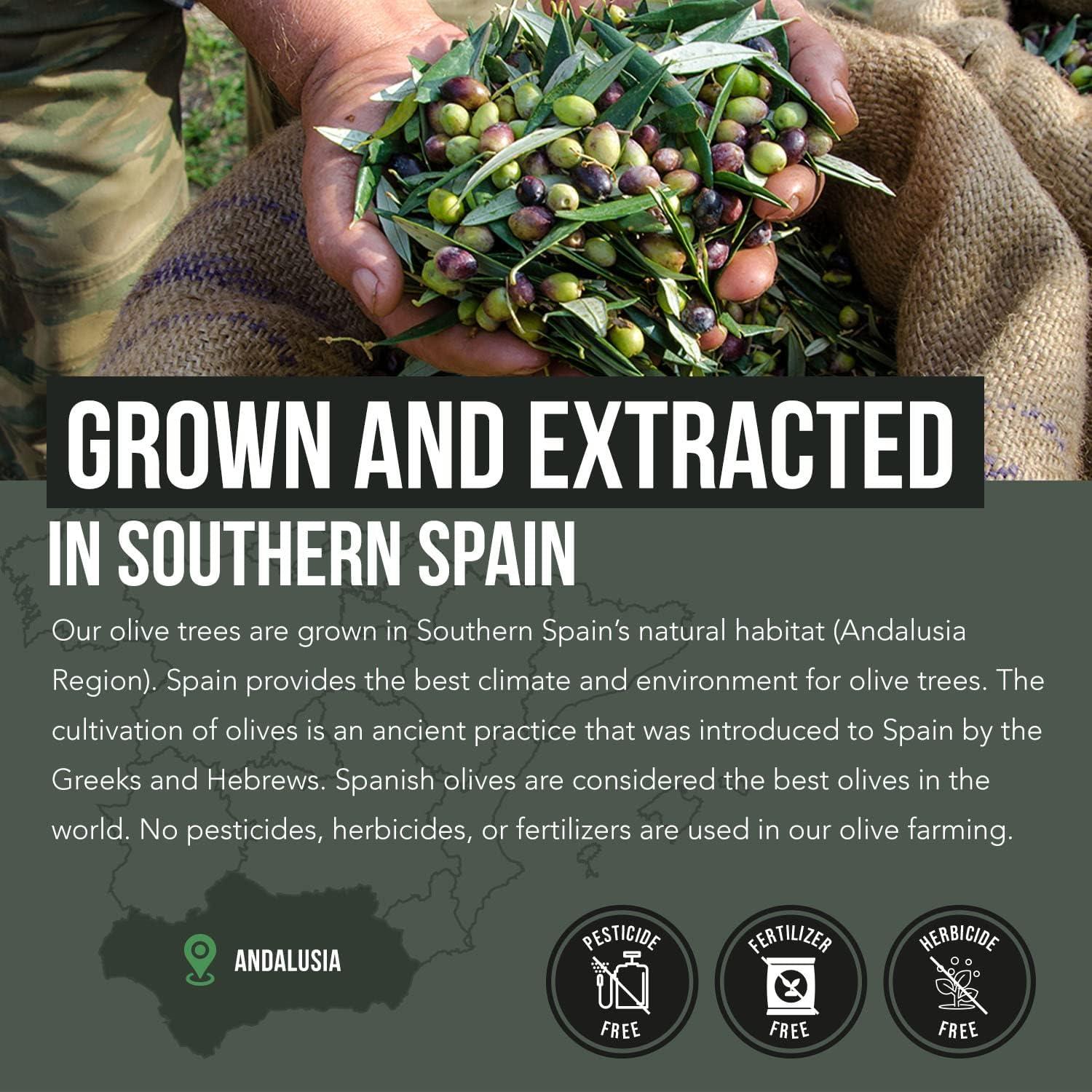 Total Olive Extracto de Hoja y Fruto de Olivo 60 Cápsulas