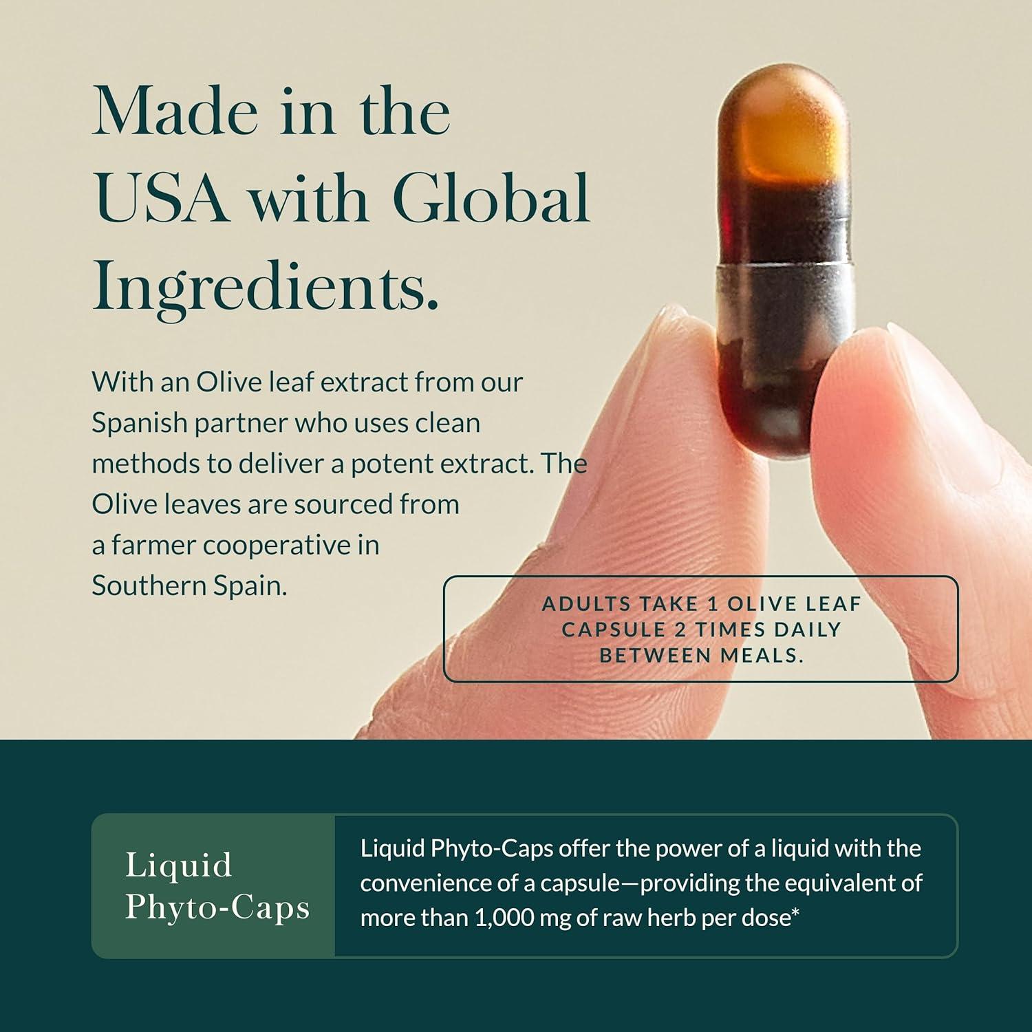 Suplemento Inmunológico Gaia Herbs - Hoja de Olivo 120 Cápsulas