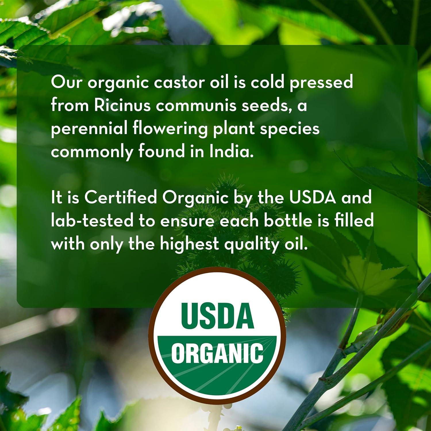 Aceite de Ricino Orgánico Pure Body Naturals 29.57 ml - Crecimiento Pestañas y Cejas