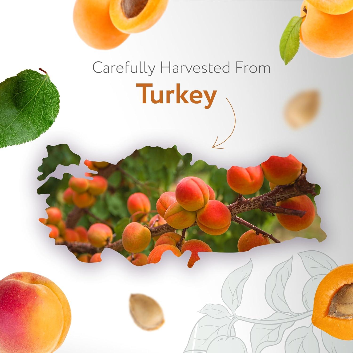 Aceite de Albaricoque Virgen Orgánico HBNO 120ml - Ideal para Cuidado de la Piel