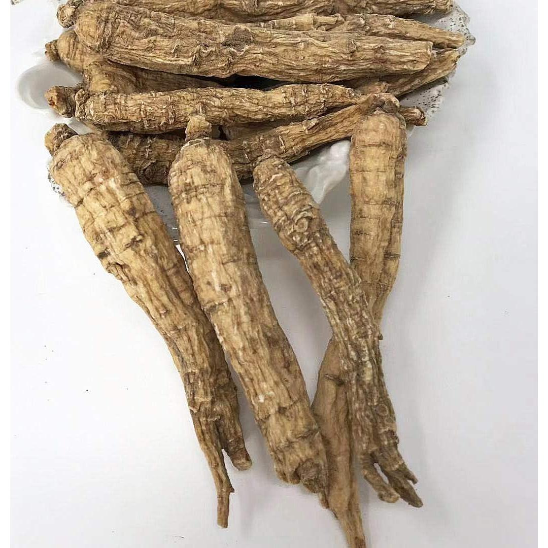 Raíz de Ginseng Americana DABC EAGLE 227g - Entera - Wisconsin