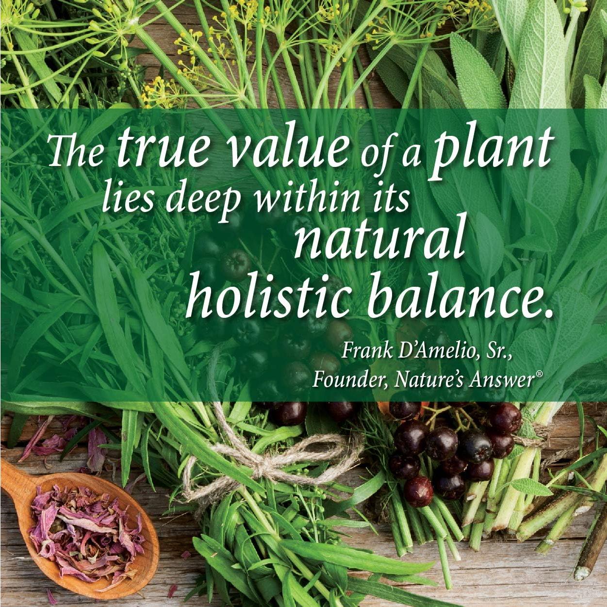 Raíz de Suma Nature's Answer 28.35g - Ginseng Brasileño Natural