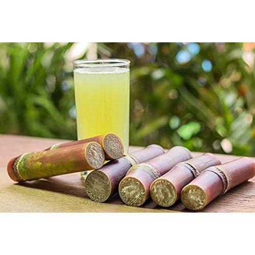 Jugo de Caña de Azúcar en Polvo Yeshvi Natural 100g - Bebida Energética