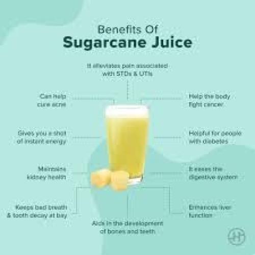 Jugo de Caña de Azúcar en Polvo Yeshvi Natural 100g - Bebida Energética